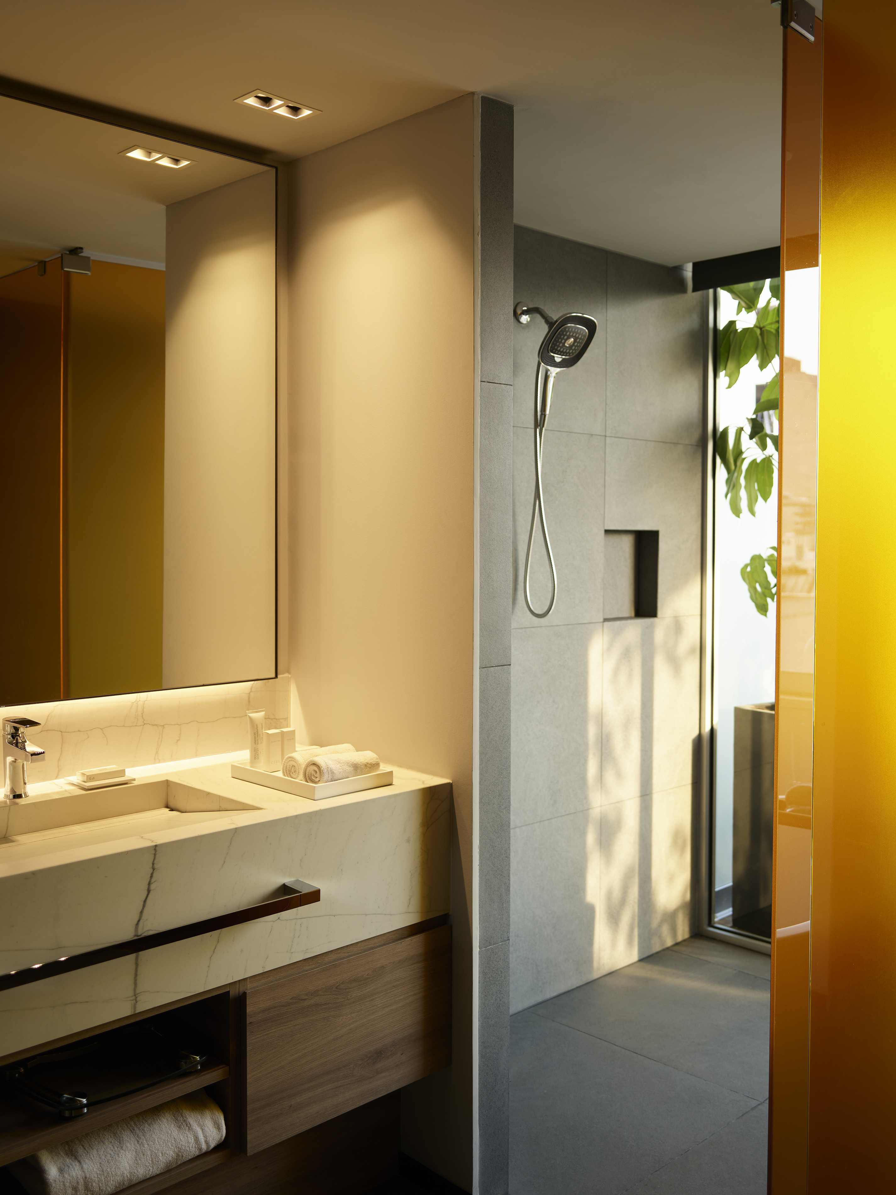 Suite Superior with Terrace