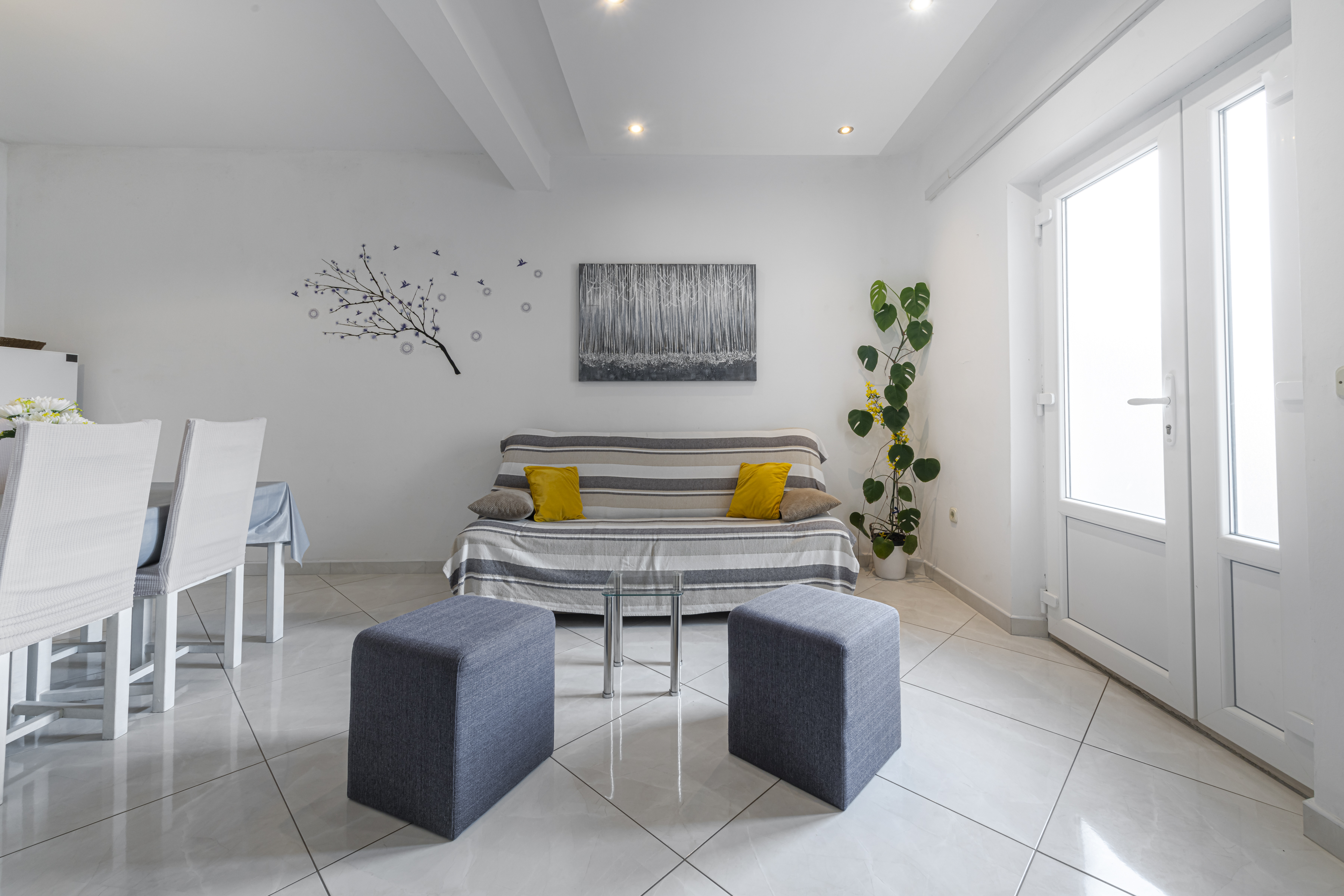 Apartment Classic with Terrace