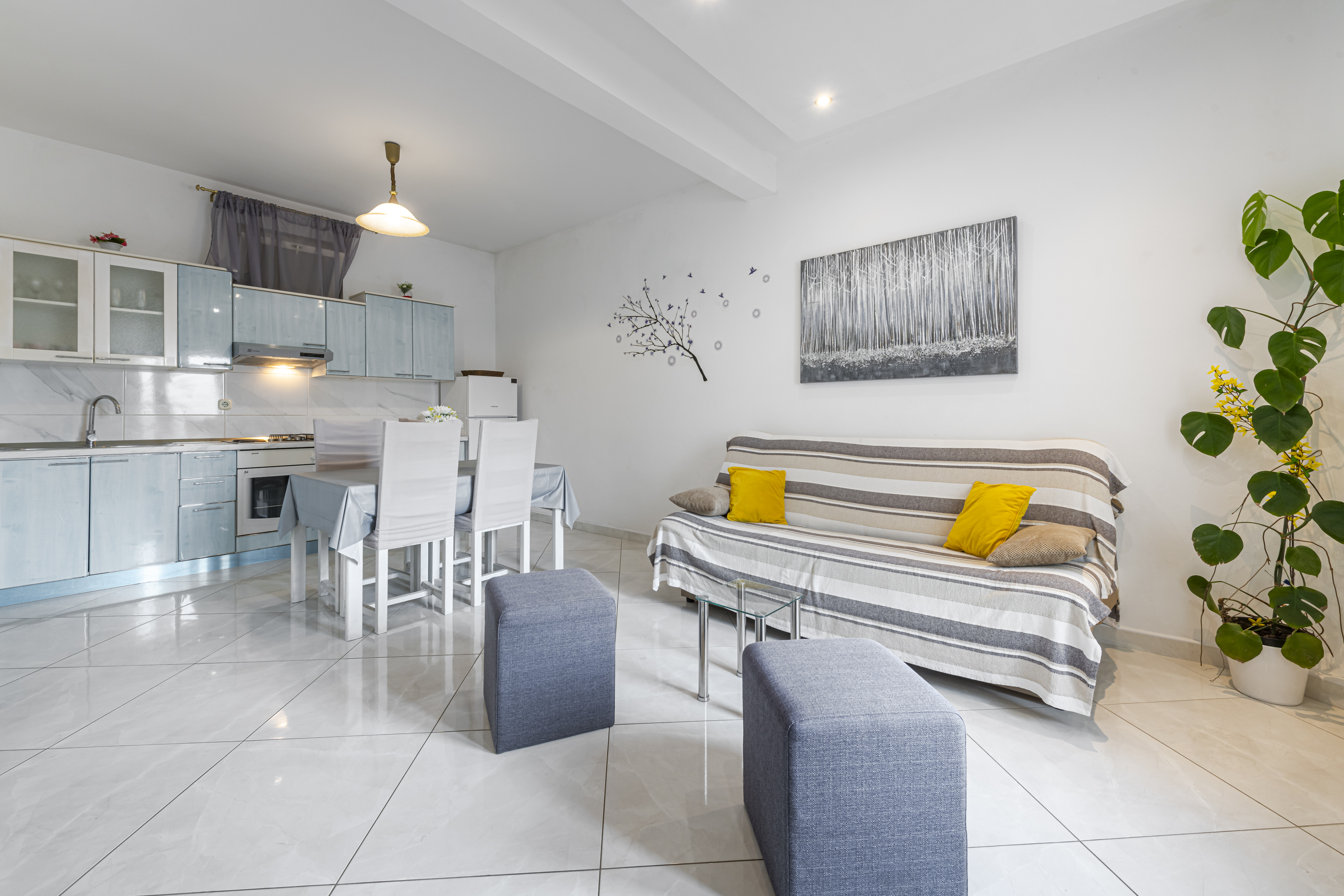 Apartment Classic with Terrace