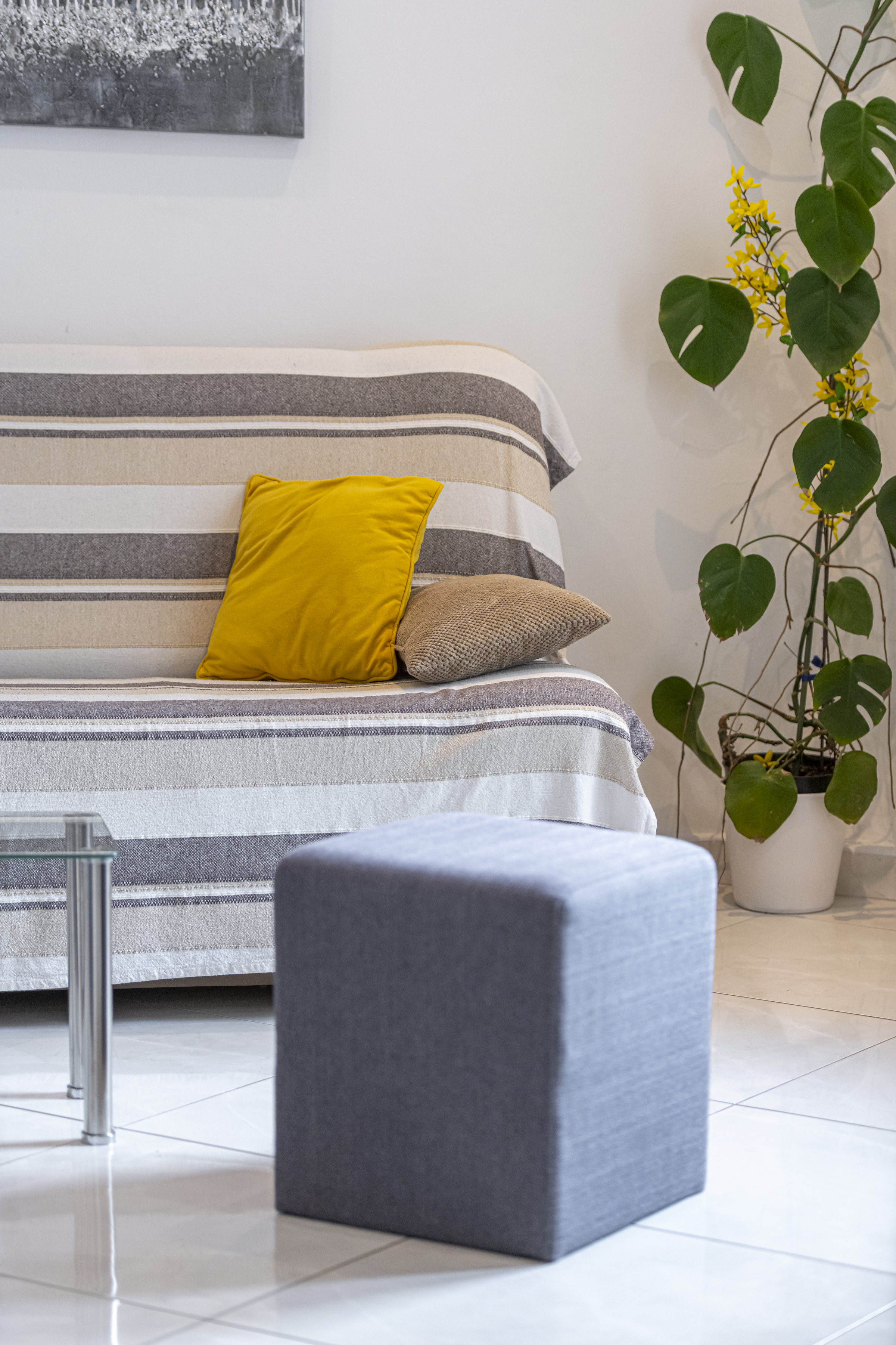 Apartment Classic with Terrace