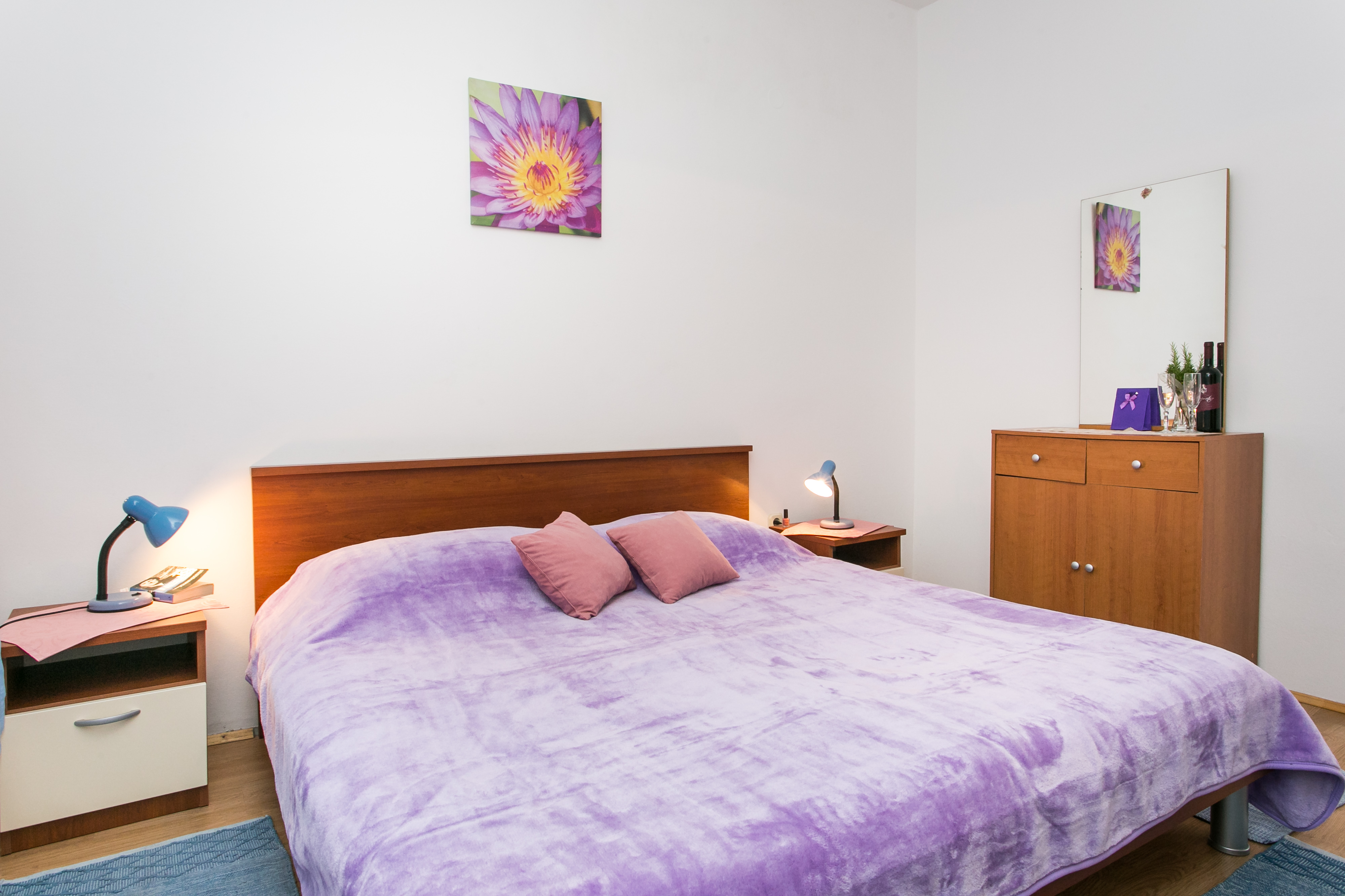 Apartment Classic with Terrace