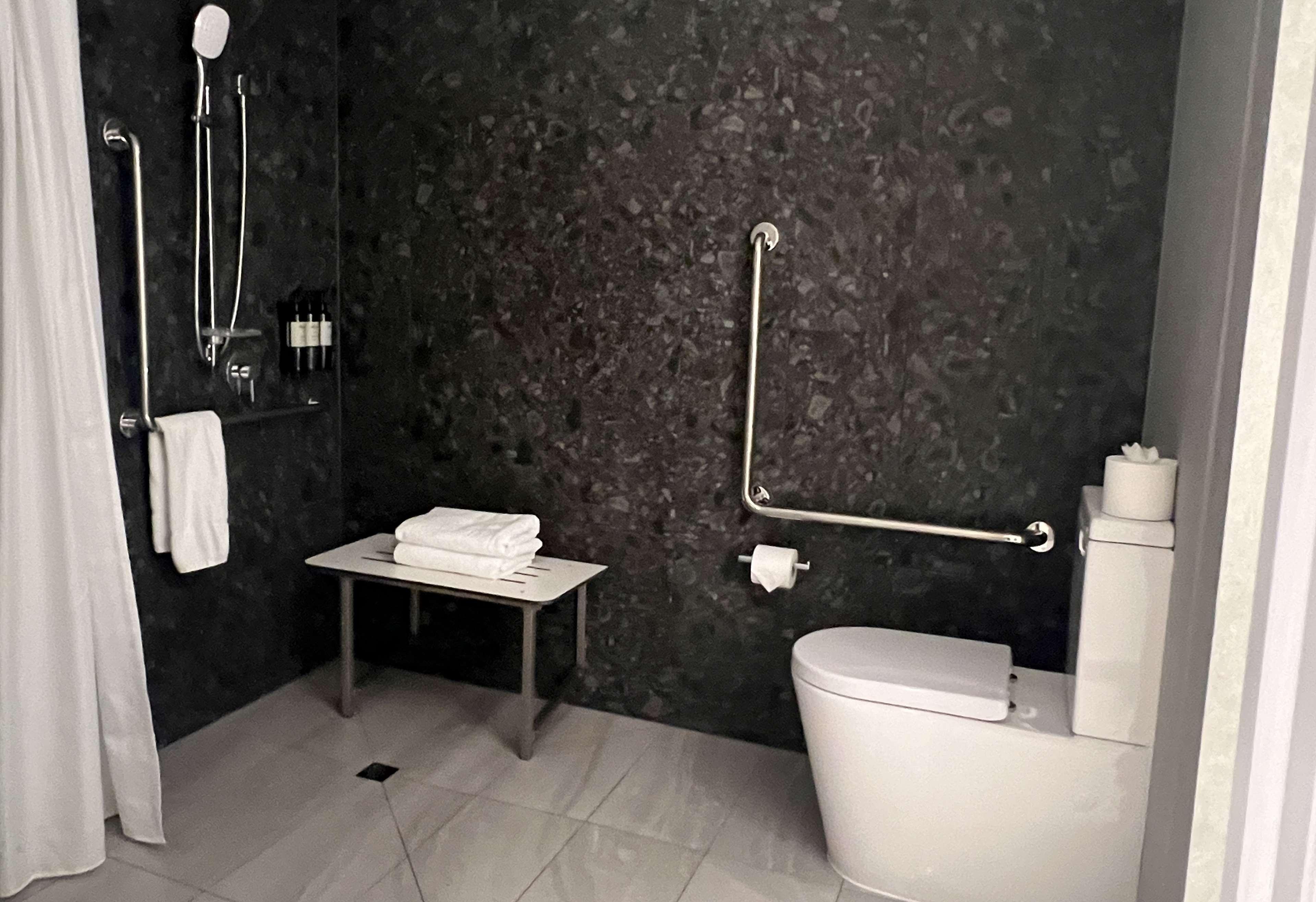 Double Accessible King Size Bed