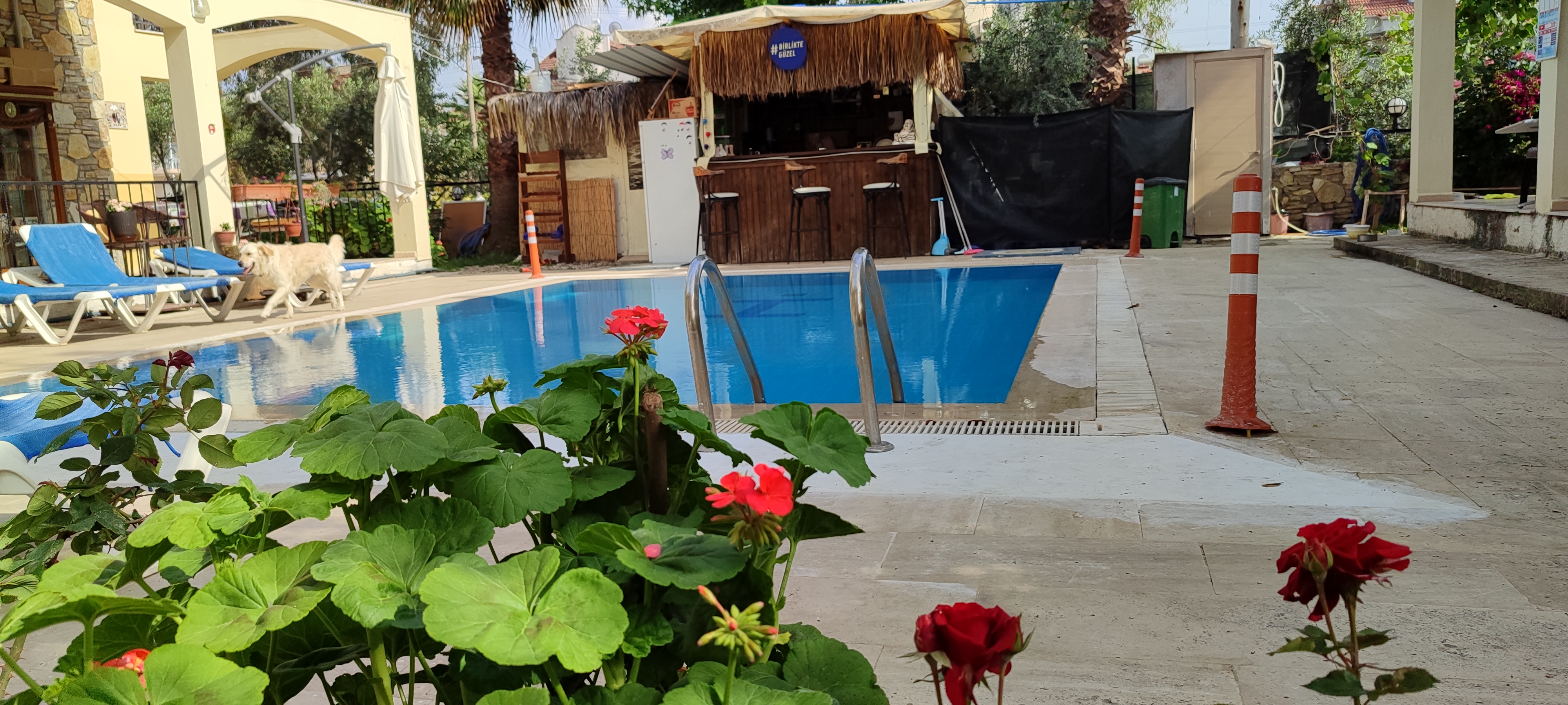 Apartment Two Bedrooms