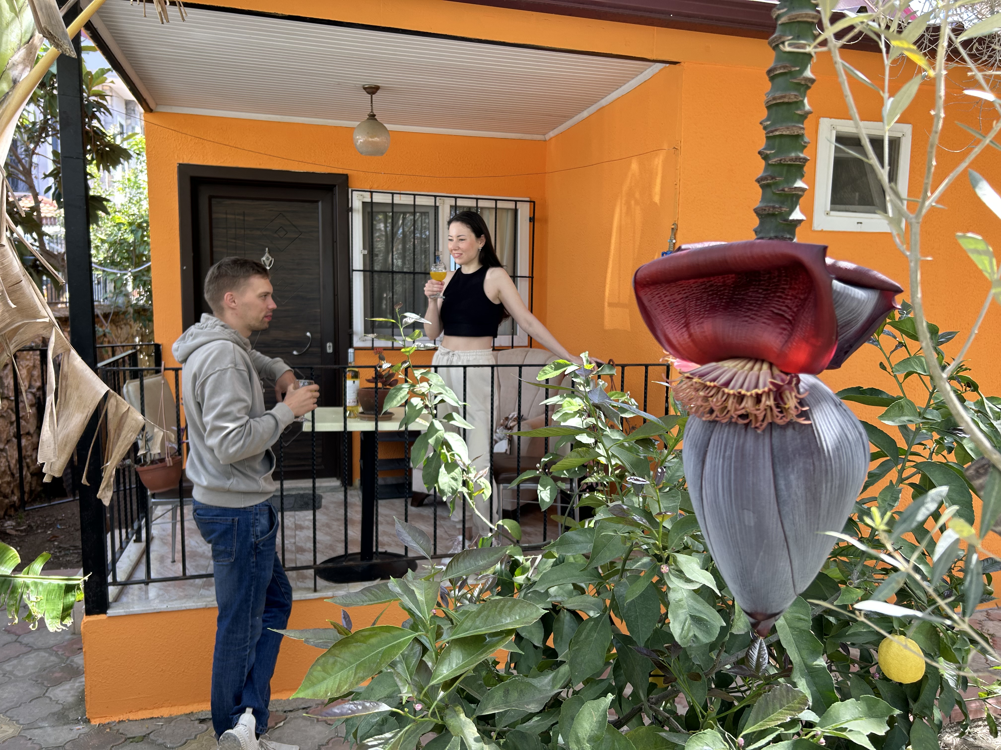 Apartment One Bedroom