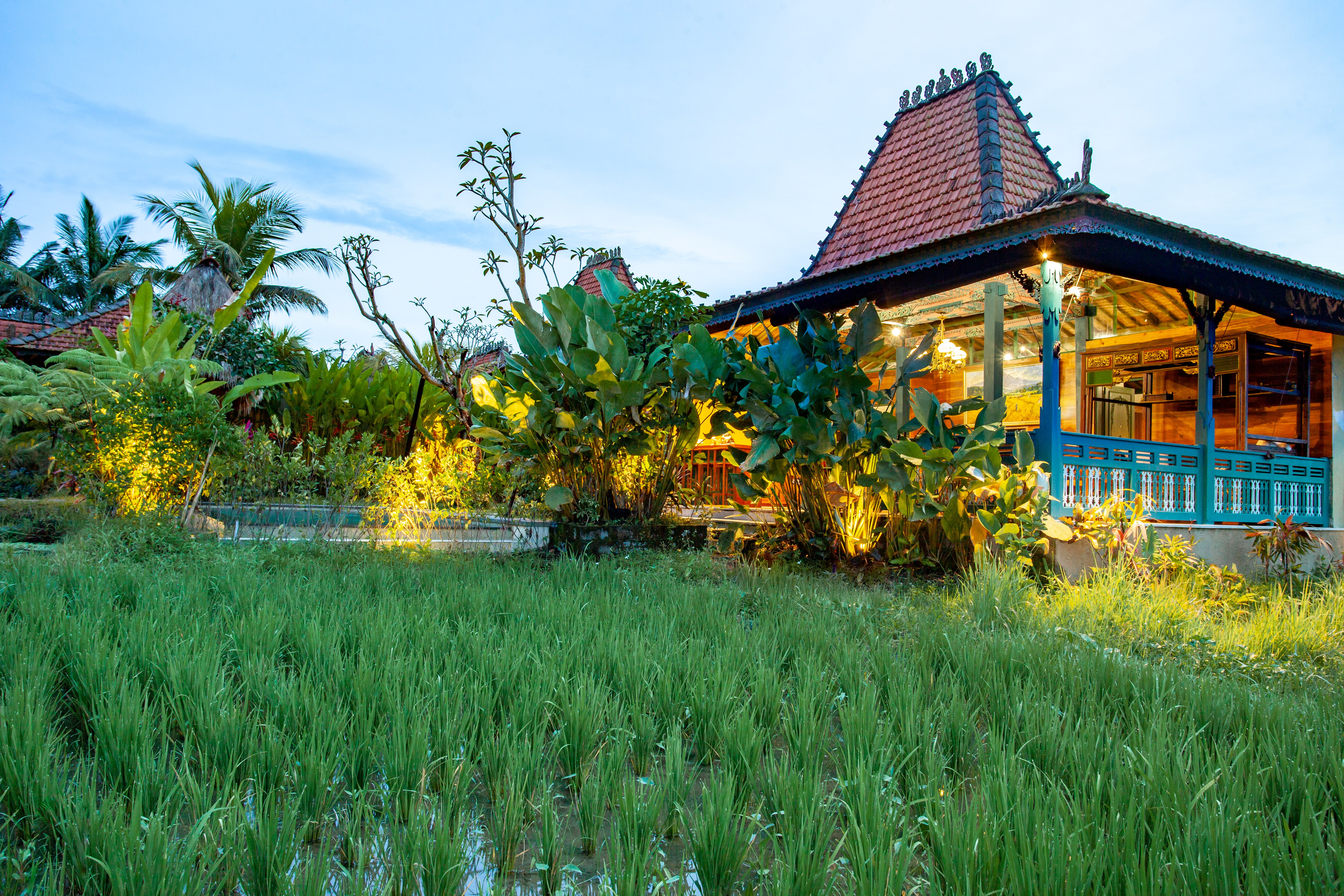 Family Room Capacity 6