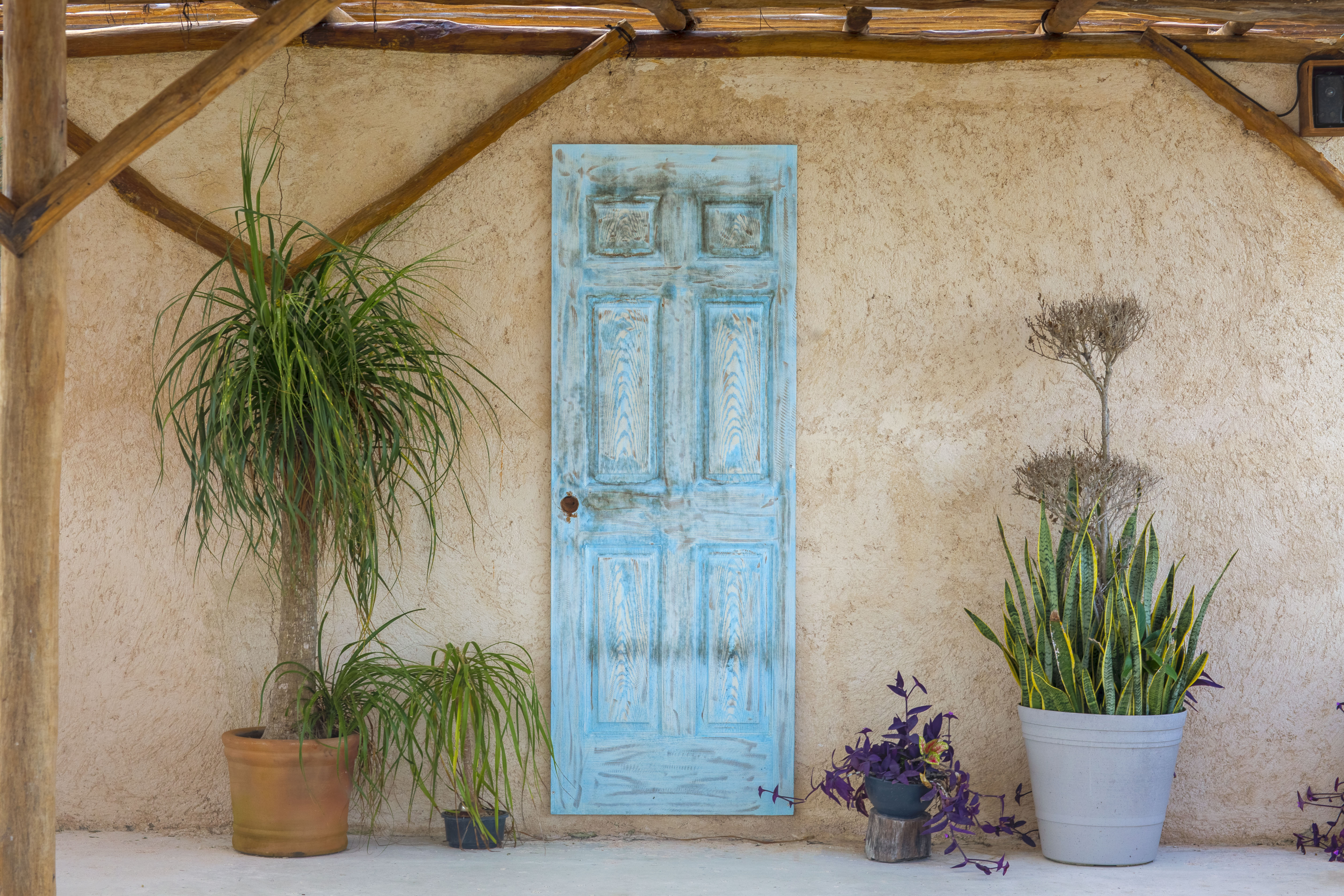 Apartment Superior Sea View