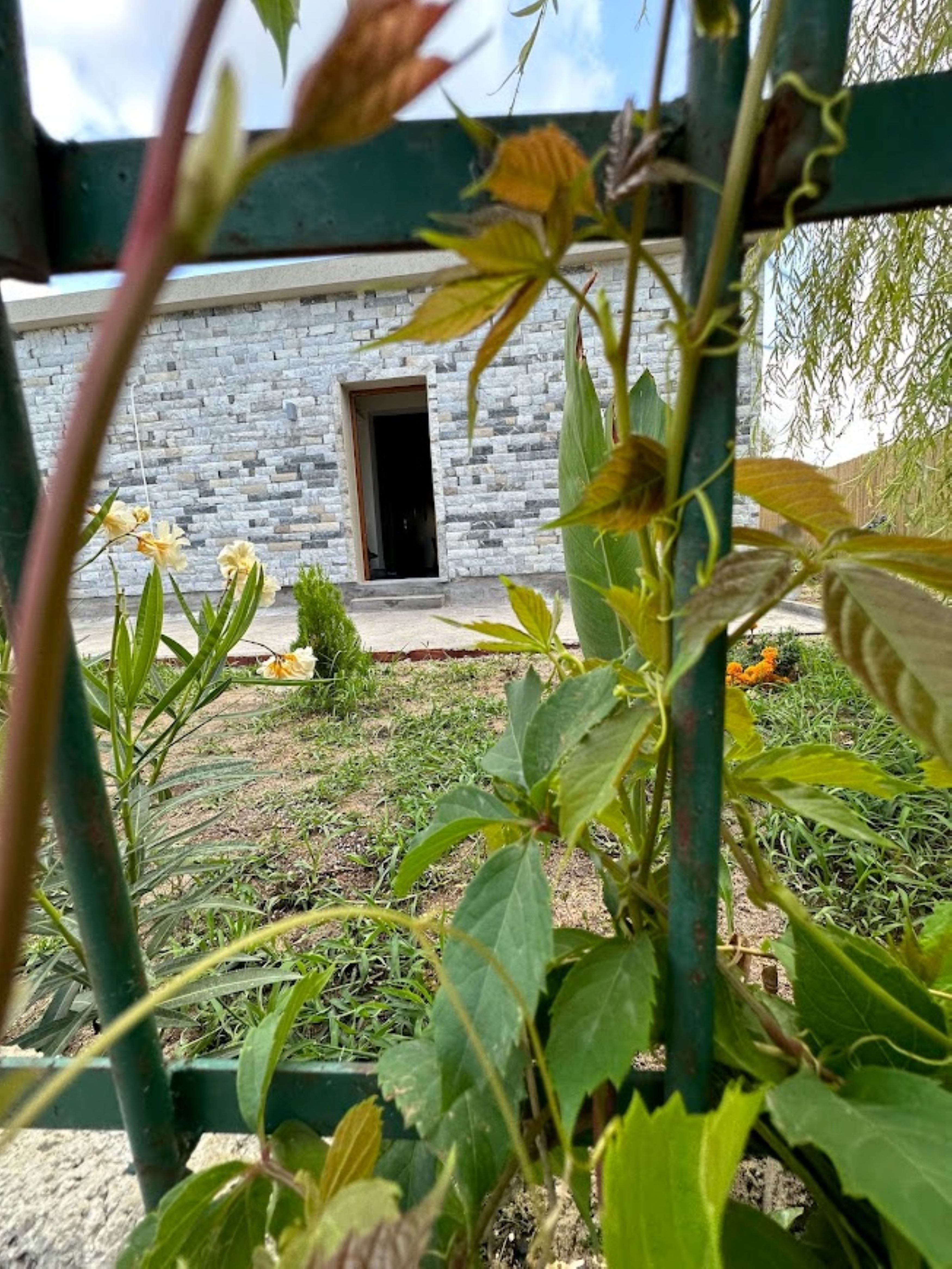 Apartment Two Bedrooms