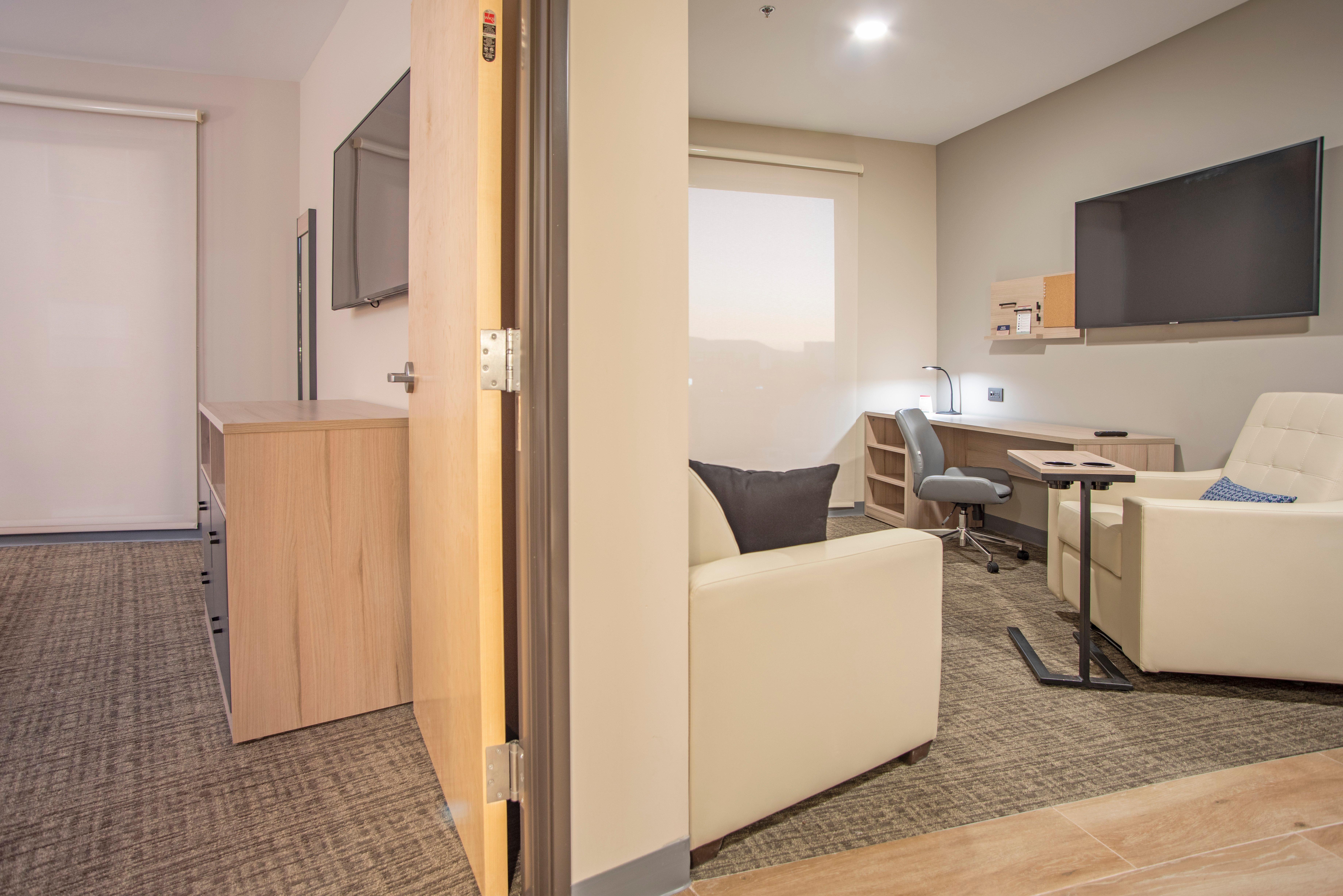 Suite King Bed One Bedroom 