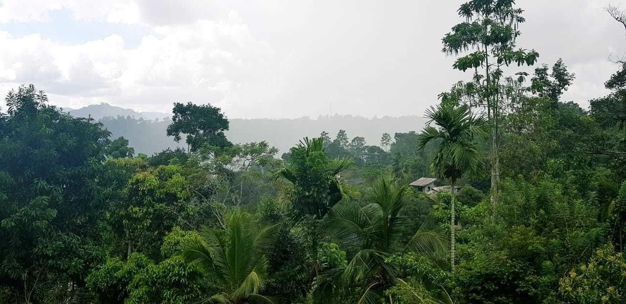 Double Smoking with Views