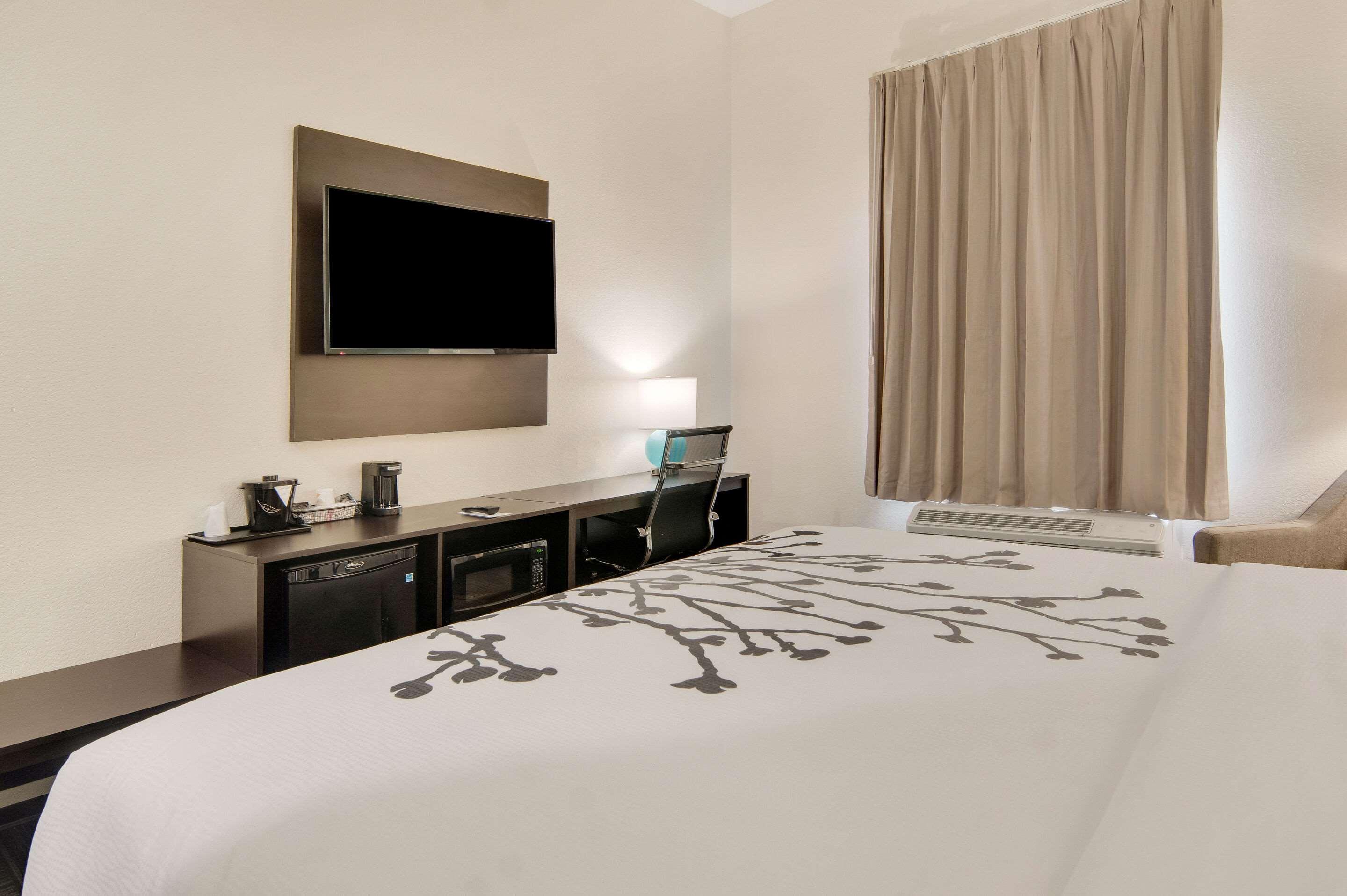 Double Accessible King Size Bed