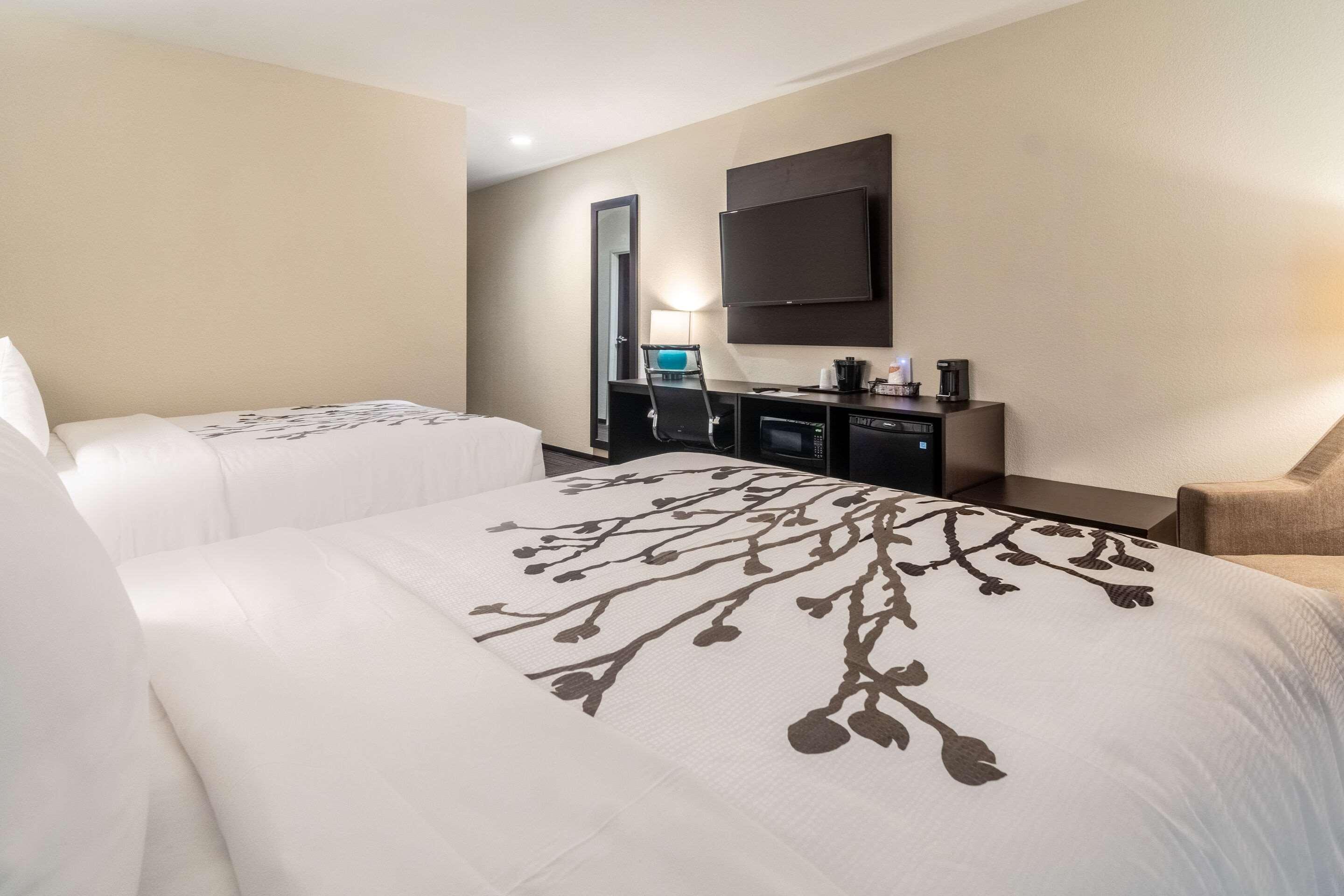 Room Accessible-two Queen Beds