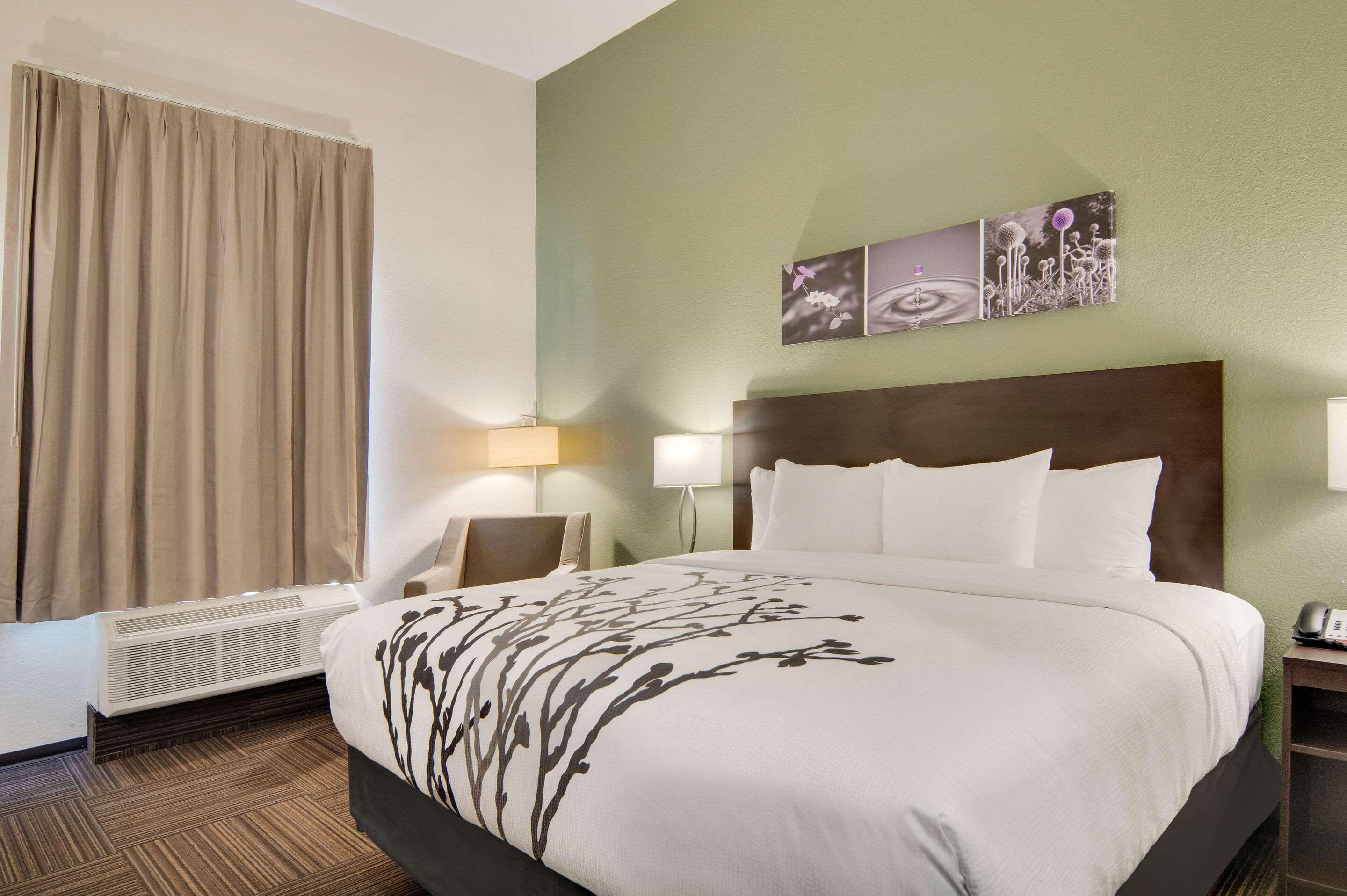 Double Accessible King Size Bed