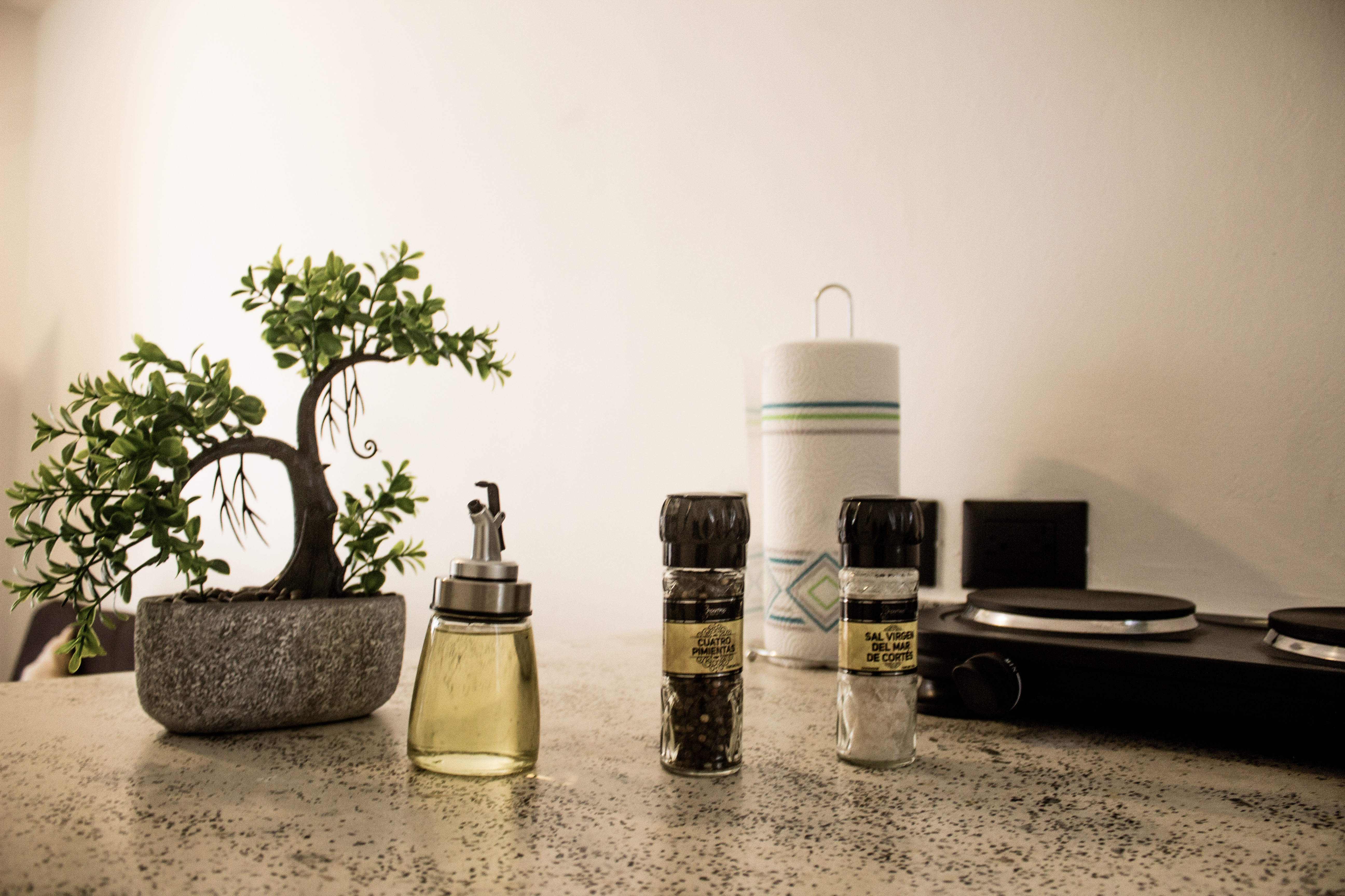 Apartment One Bedroom