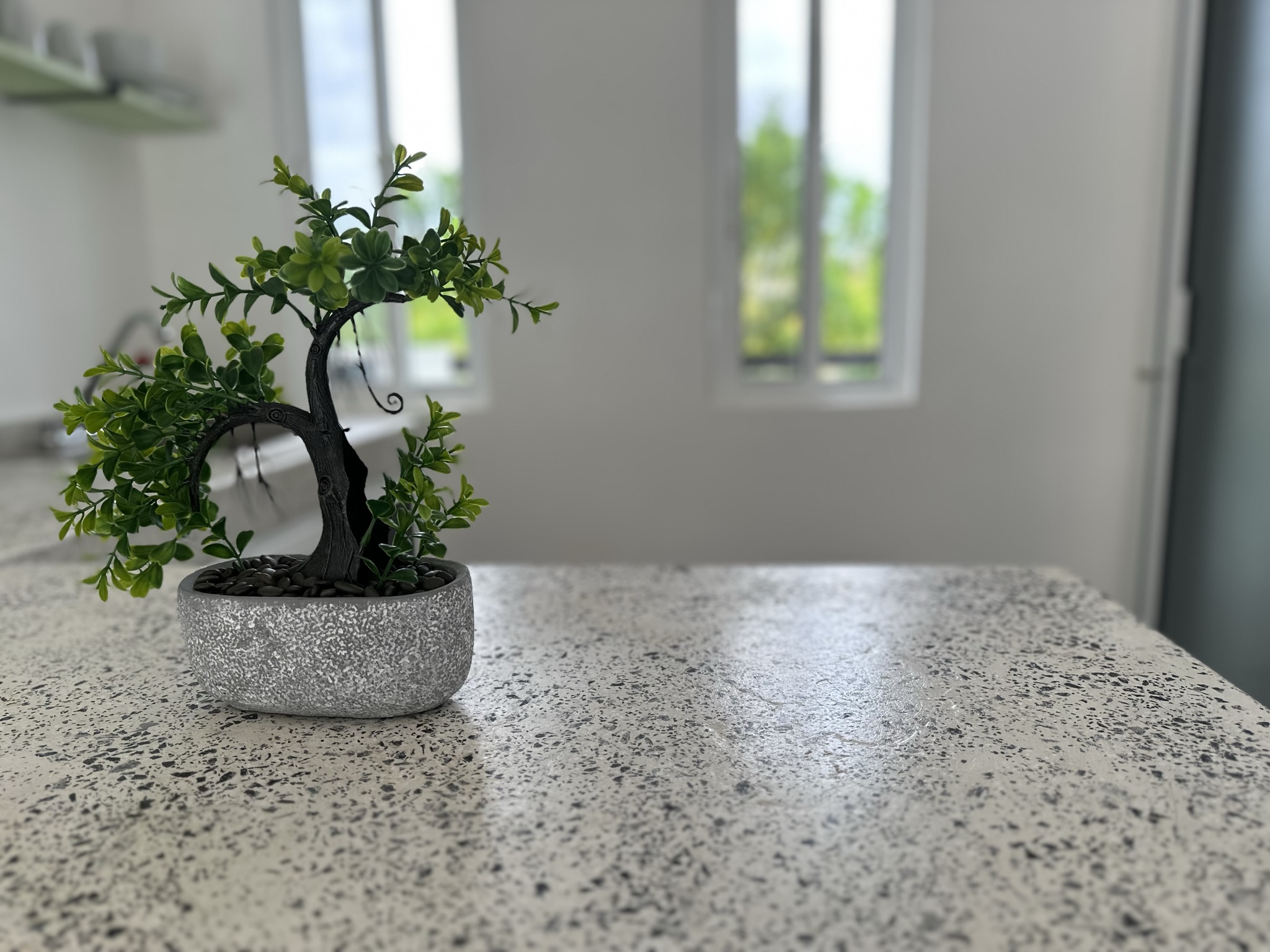 Apartment Capacity 2