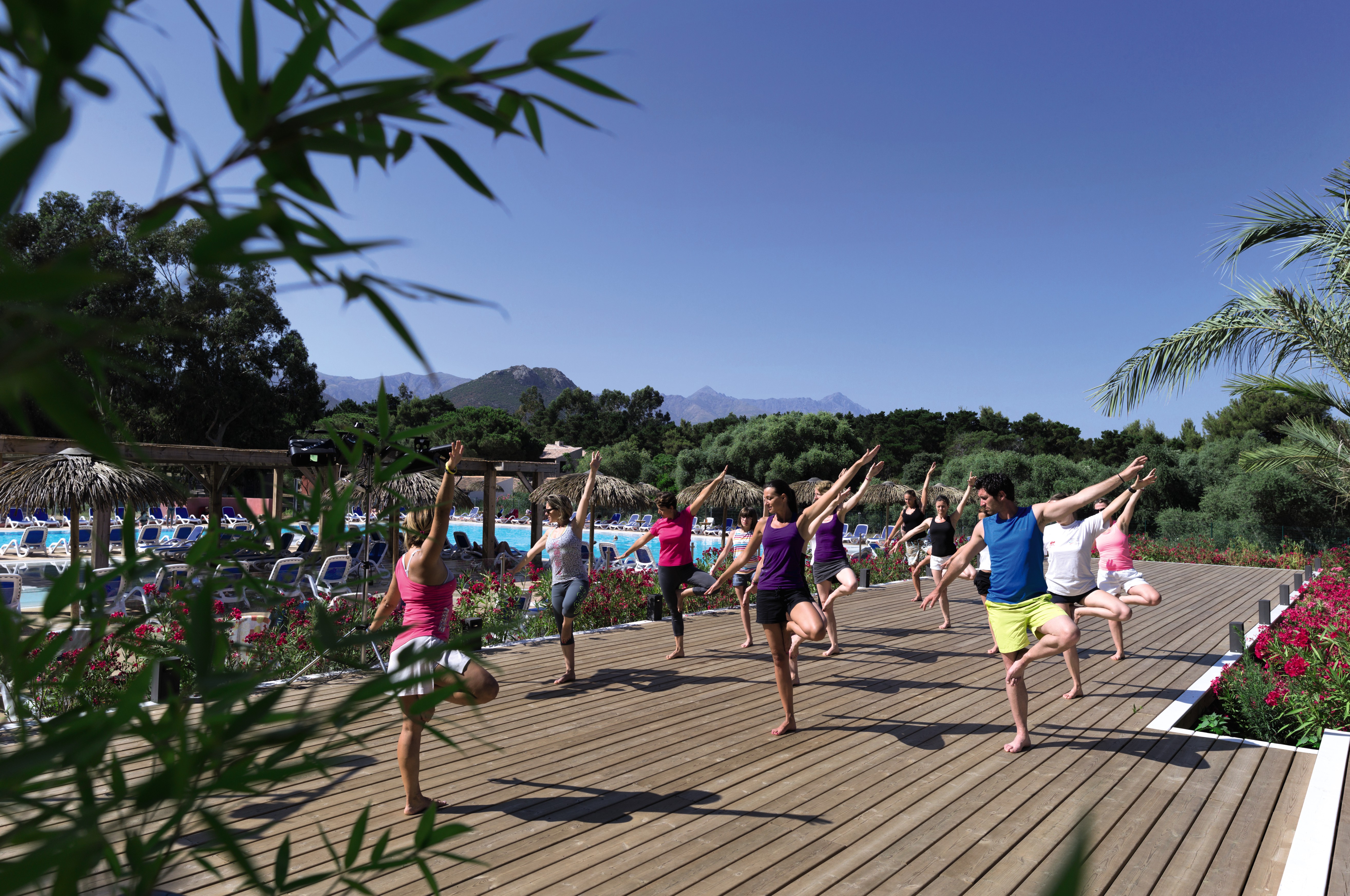 Sports and Entertainment