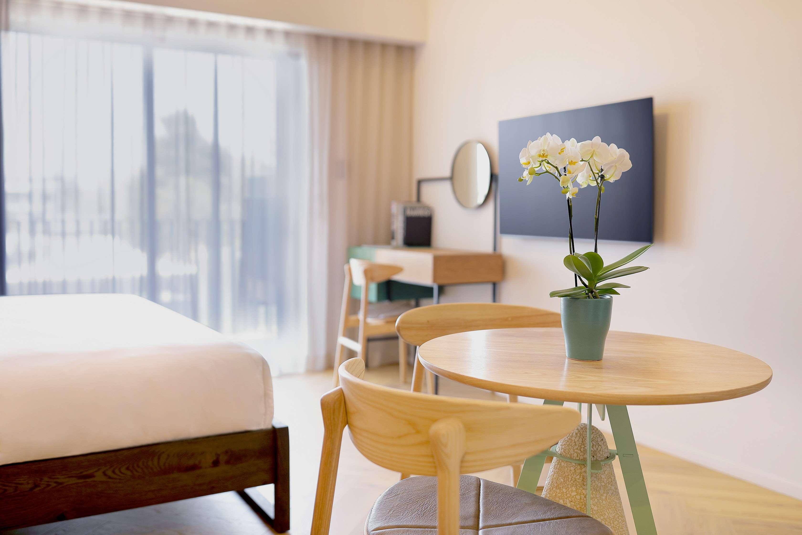 Suite King Bed One Bedroom 