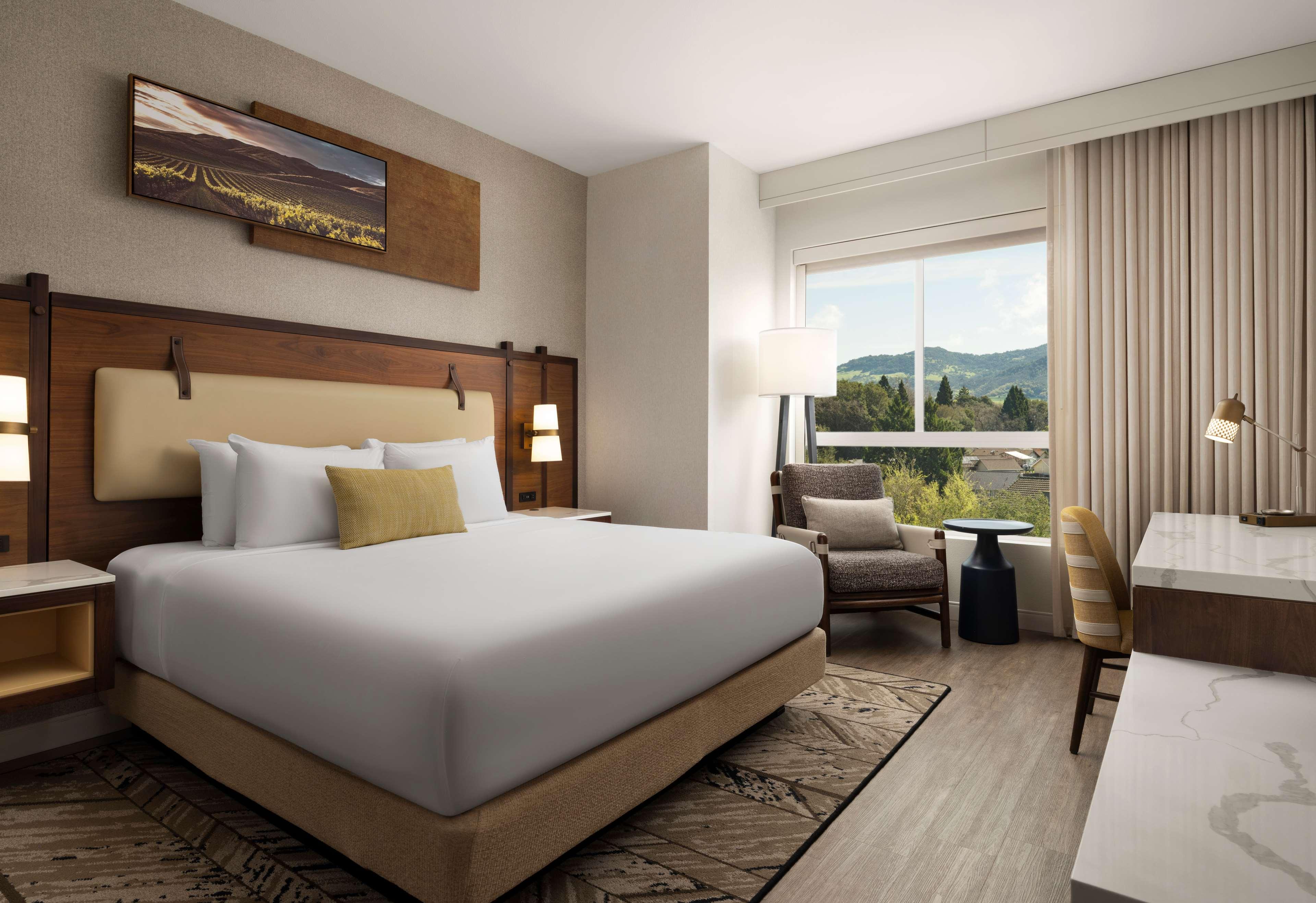 Suite King Bed One Bedroom 