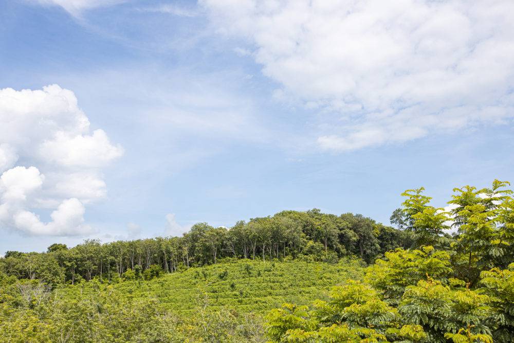 Villa King Bed with Jacuzzi