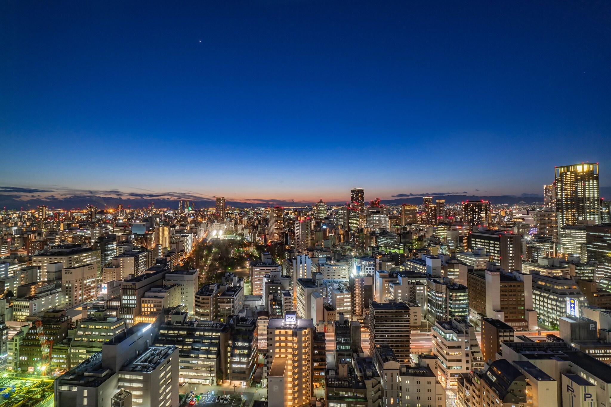 Twin Deluxe Executive