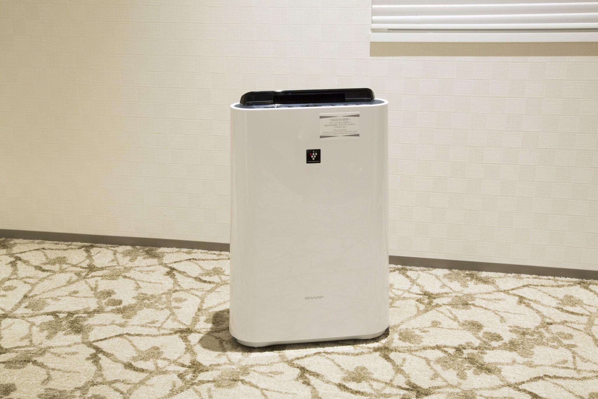 Single with Double Bed