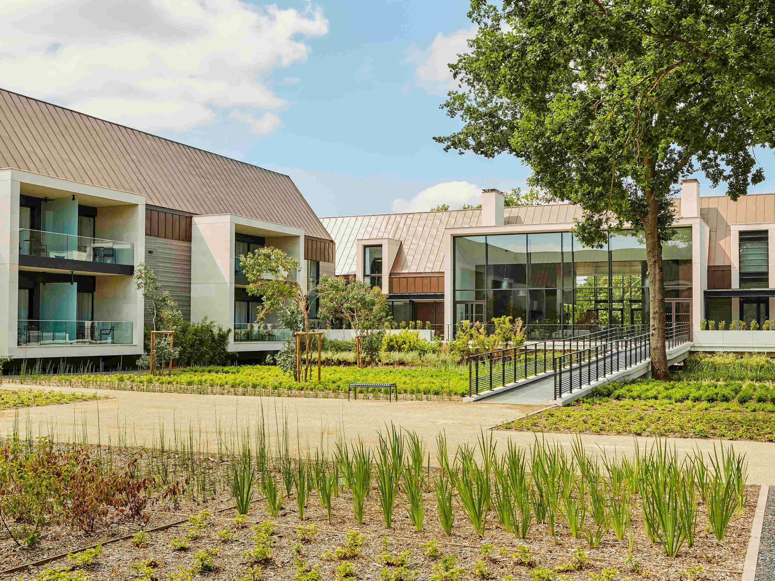 Suite Deluxe King Bed