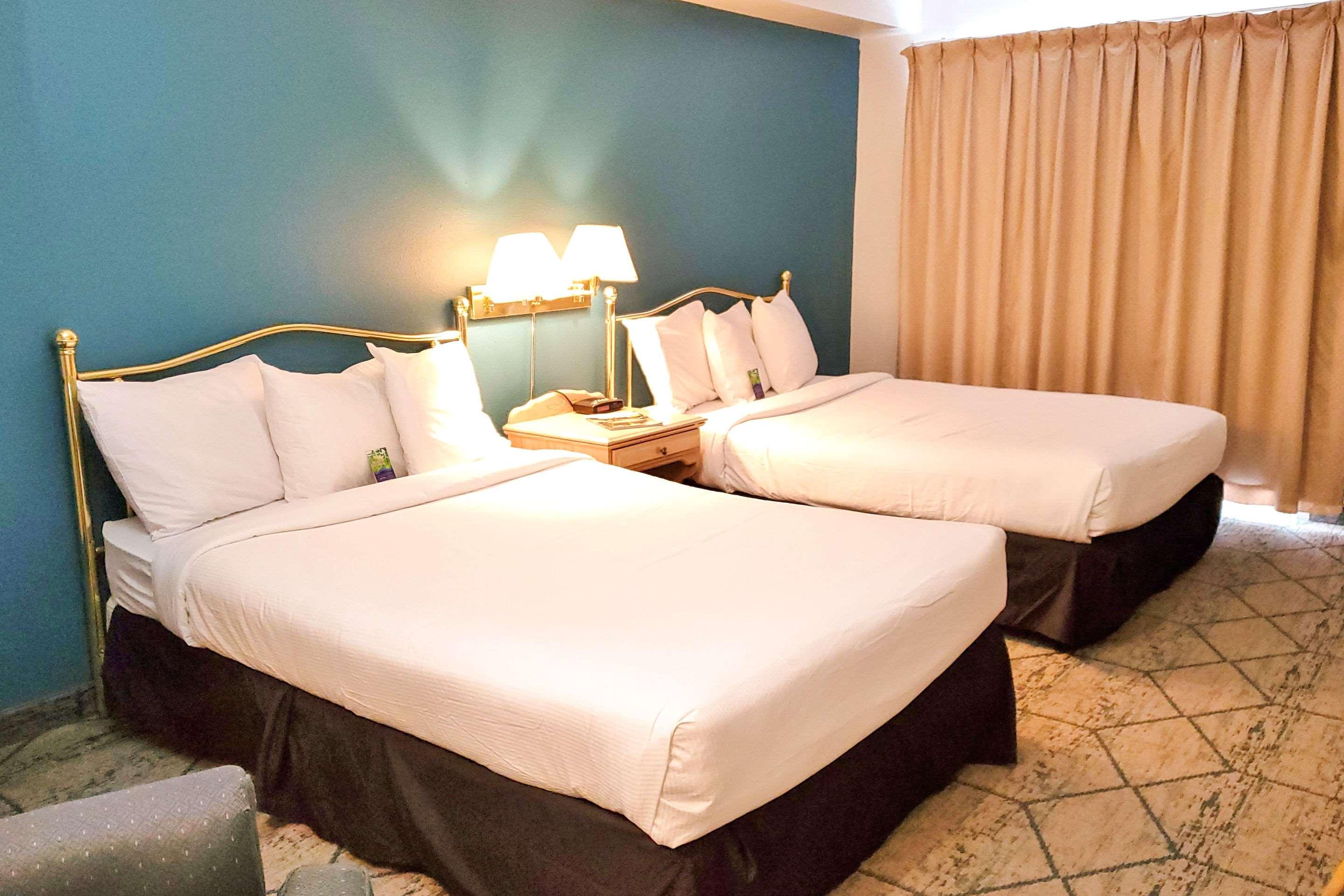 Suite King Bed Non Smoking