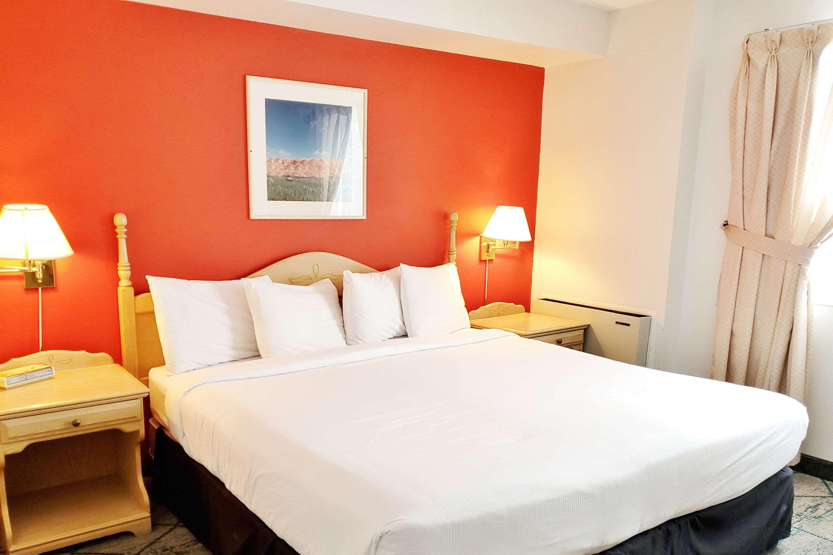 Suite King Bed Non Smoking