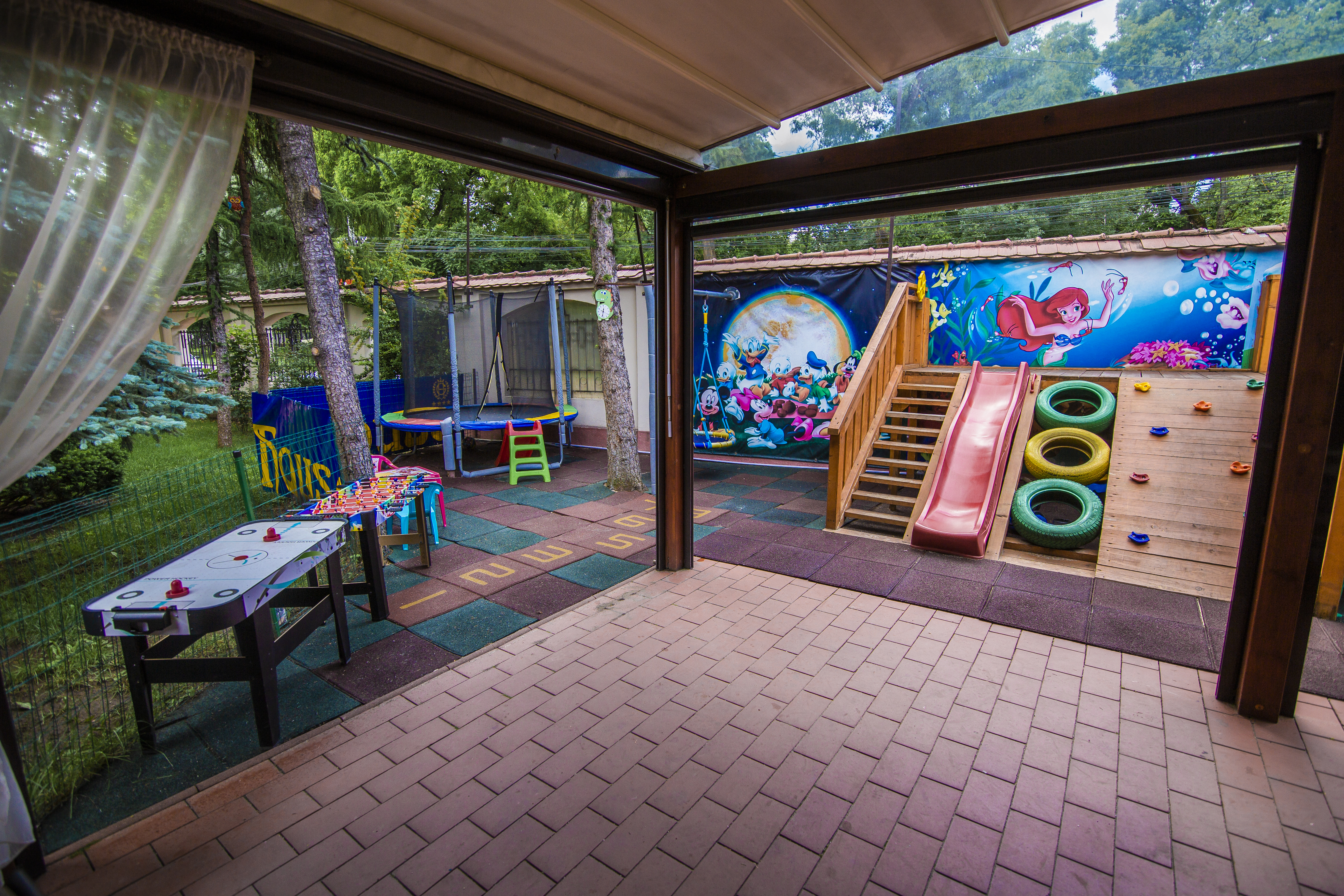 Sports and Entertainment