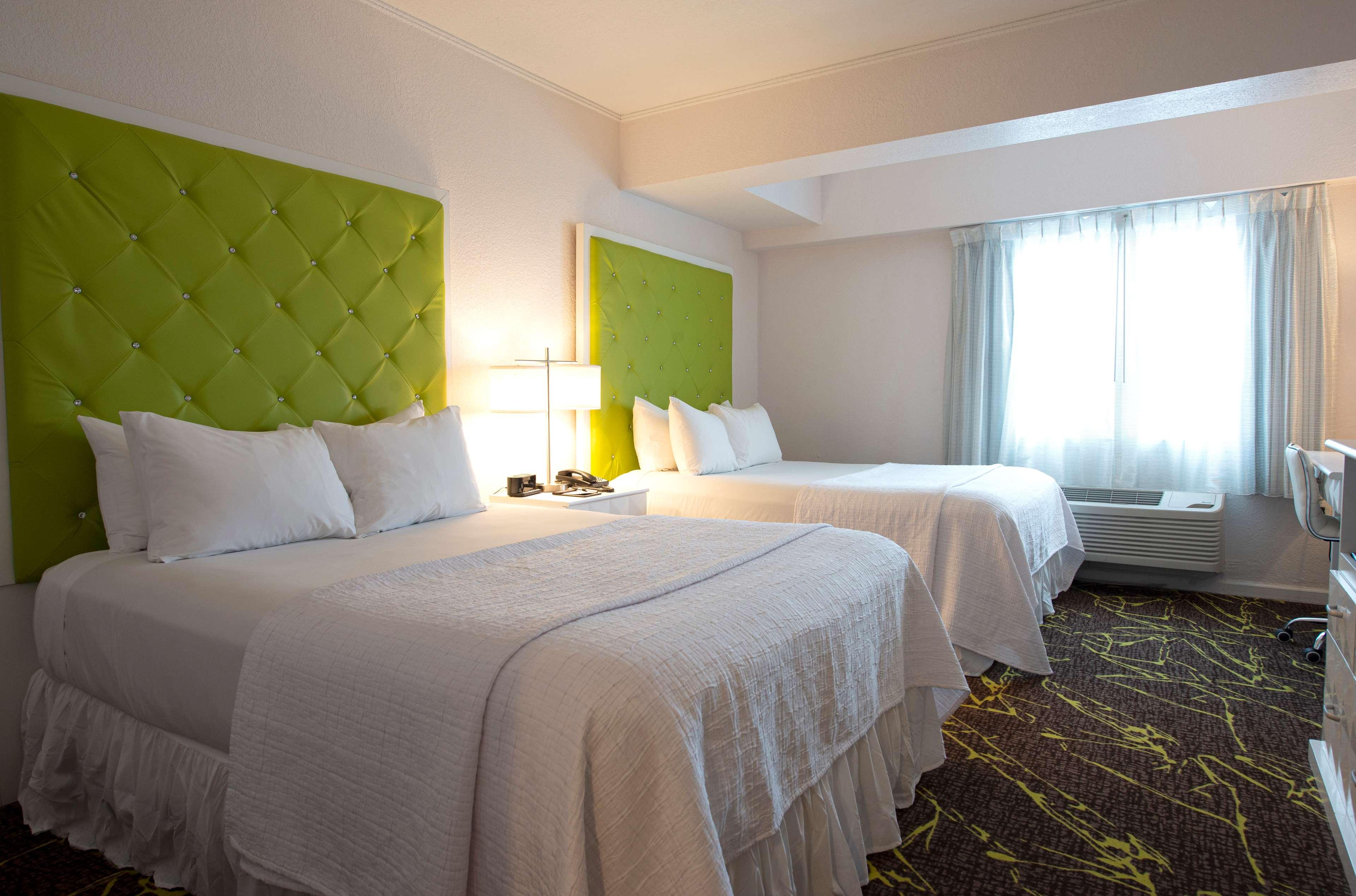 Double Two Queen Beds