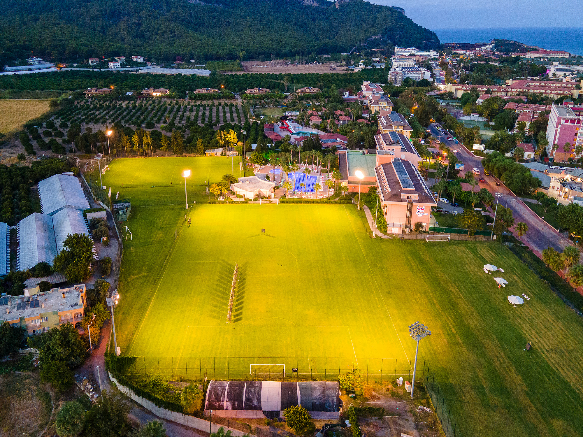 Sports and Entertainment