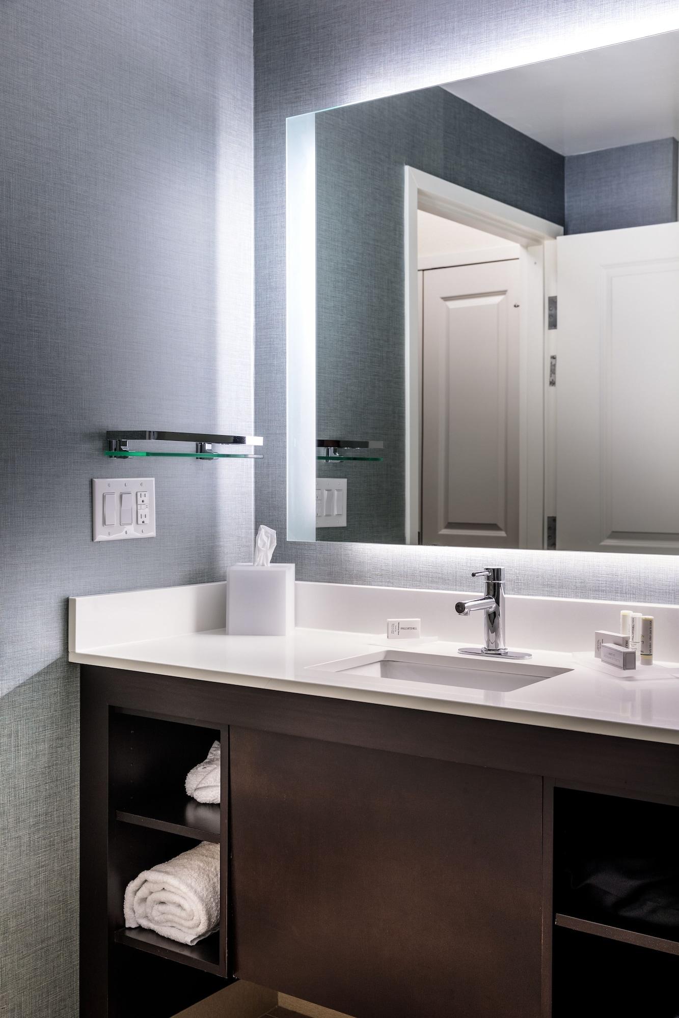 Suite King Bed One Bedroom 