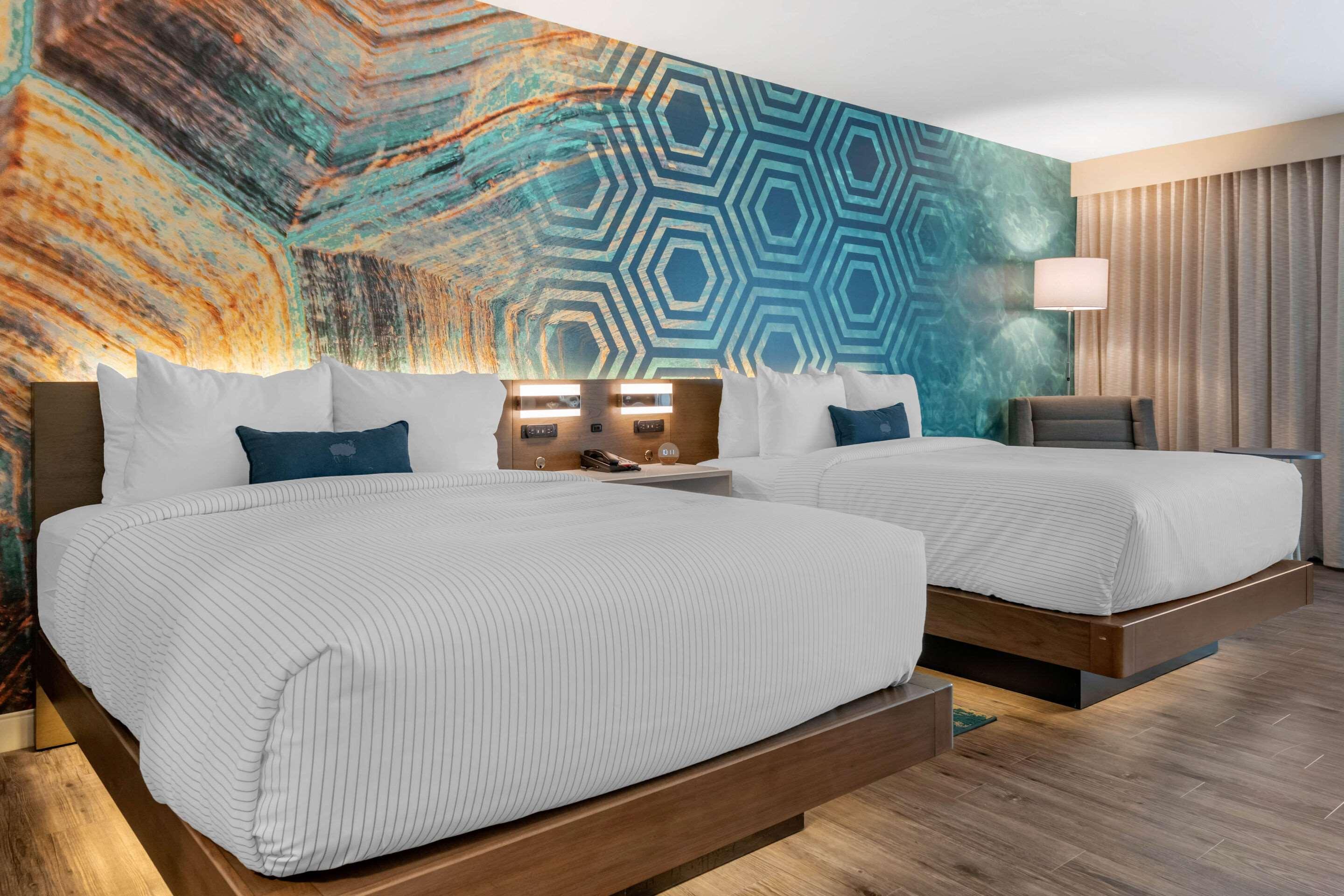 Double Two Queen Beds