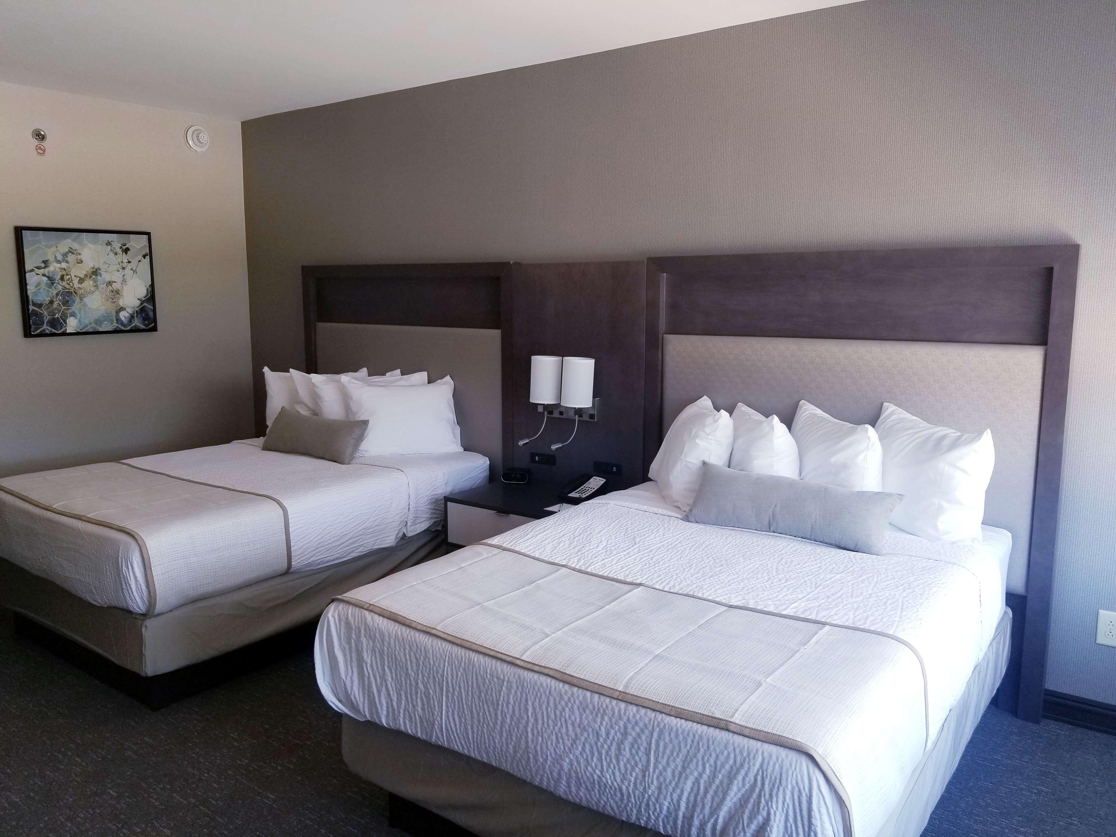 Suite Two Queen Beds