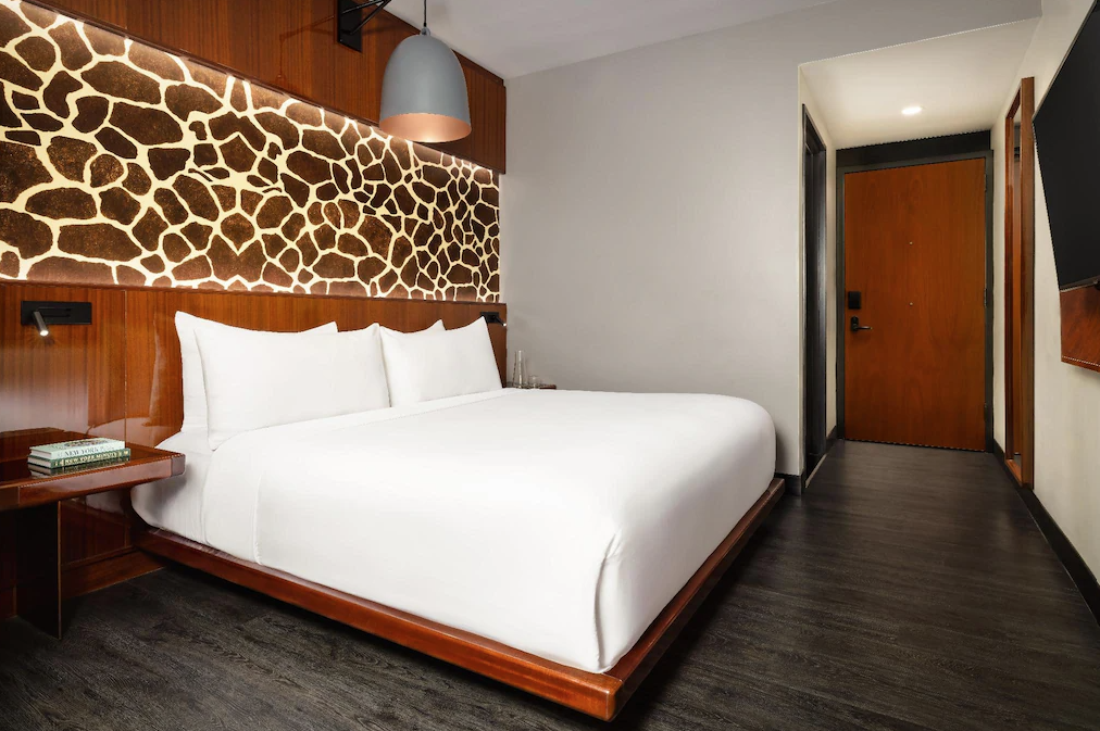 Double City View King Bed