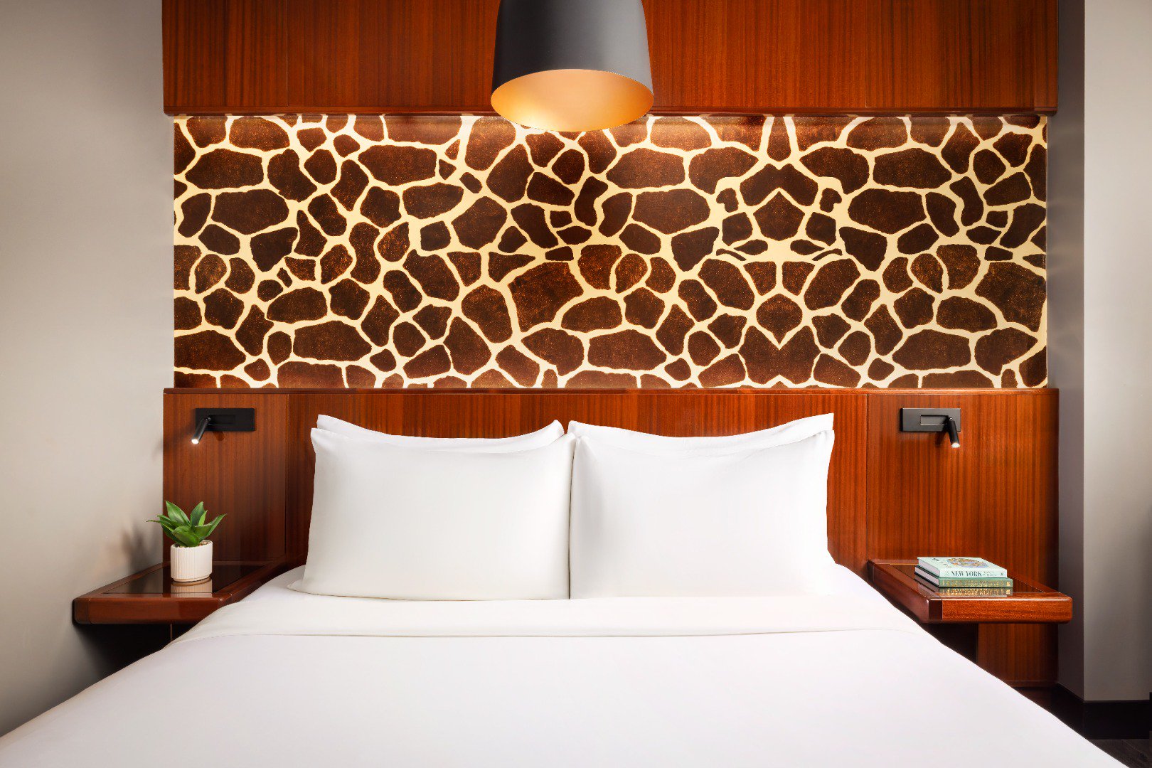 Room King Size Bed