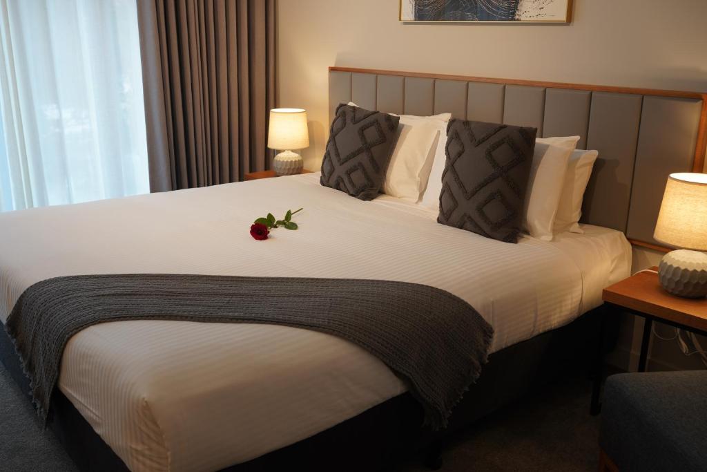 Apartment Premium One Bedroom