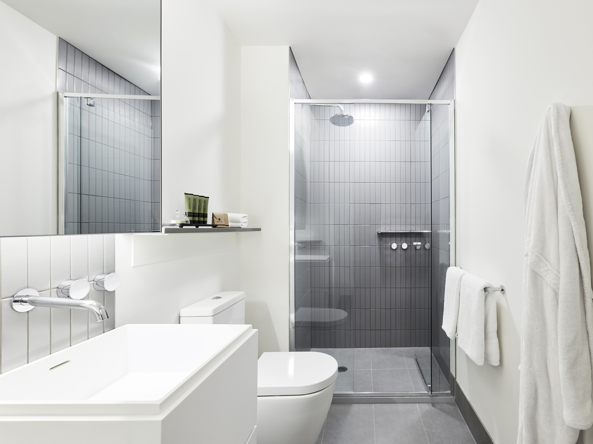 Apartment Deluxe Two Beds