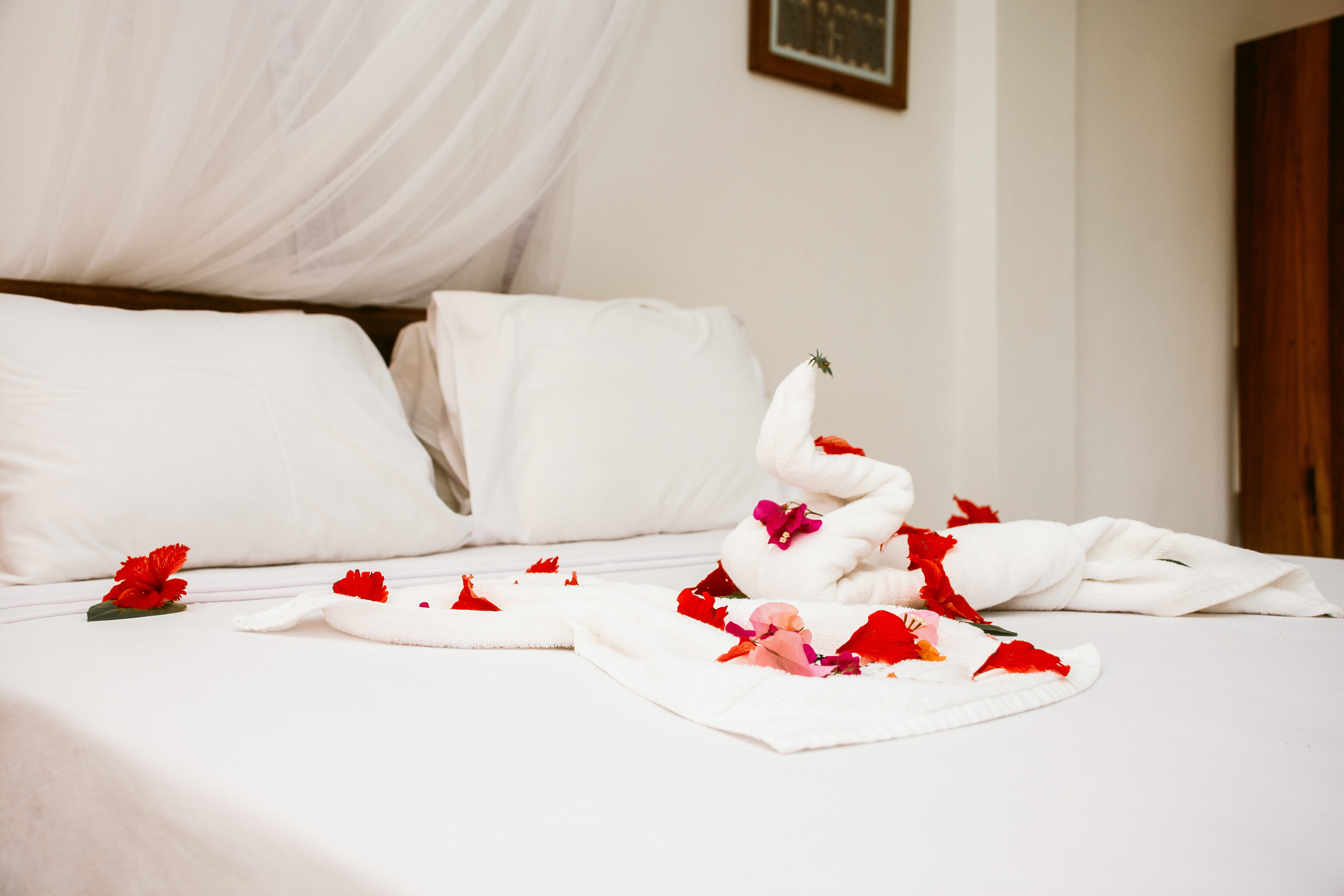 Double or Twin Two Bedrooms One Bathroom