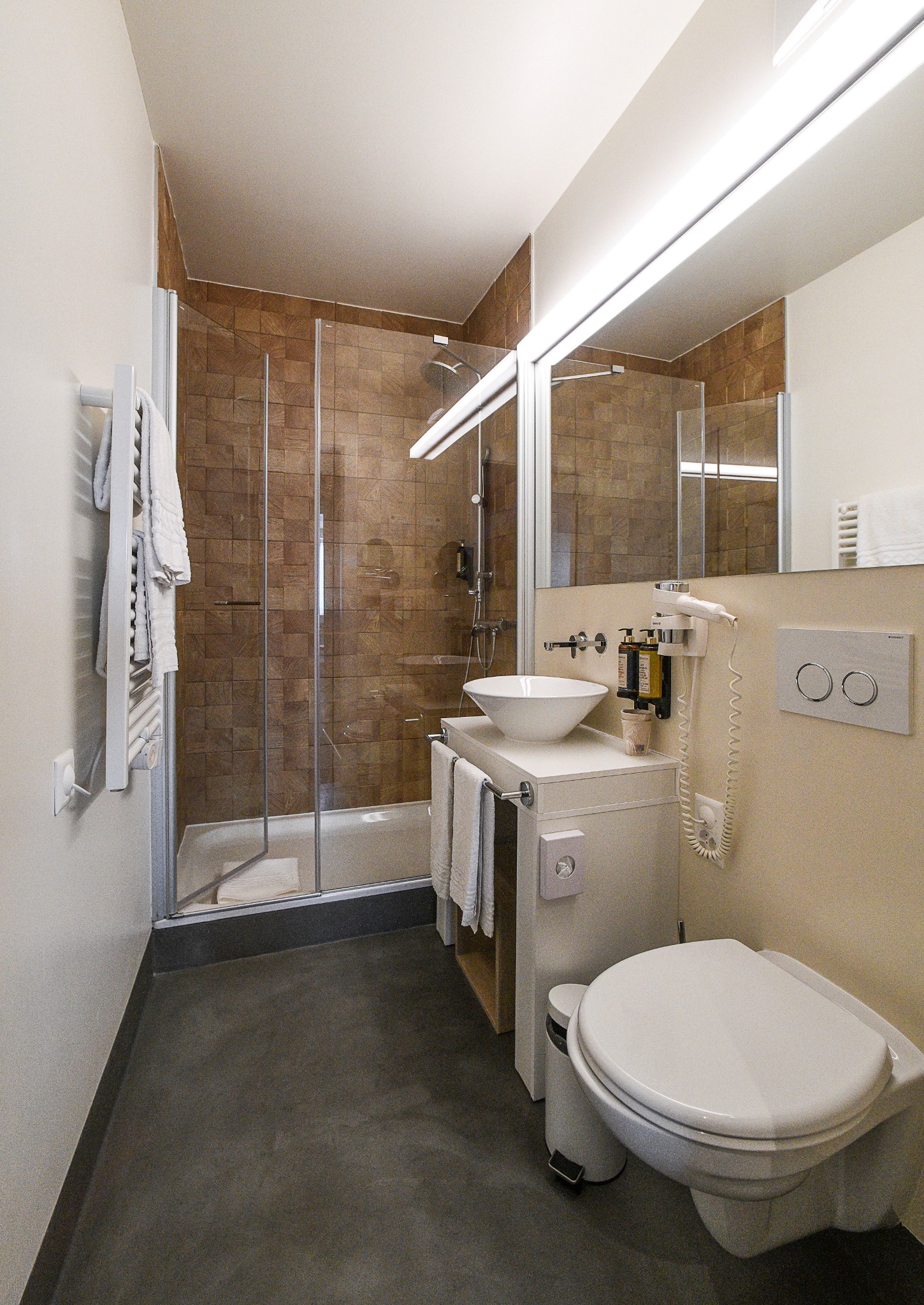 Apartment with Terrace