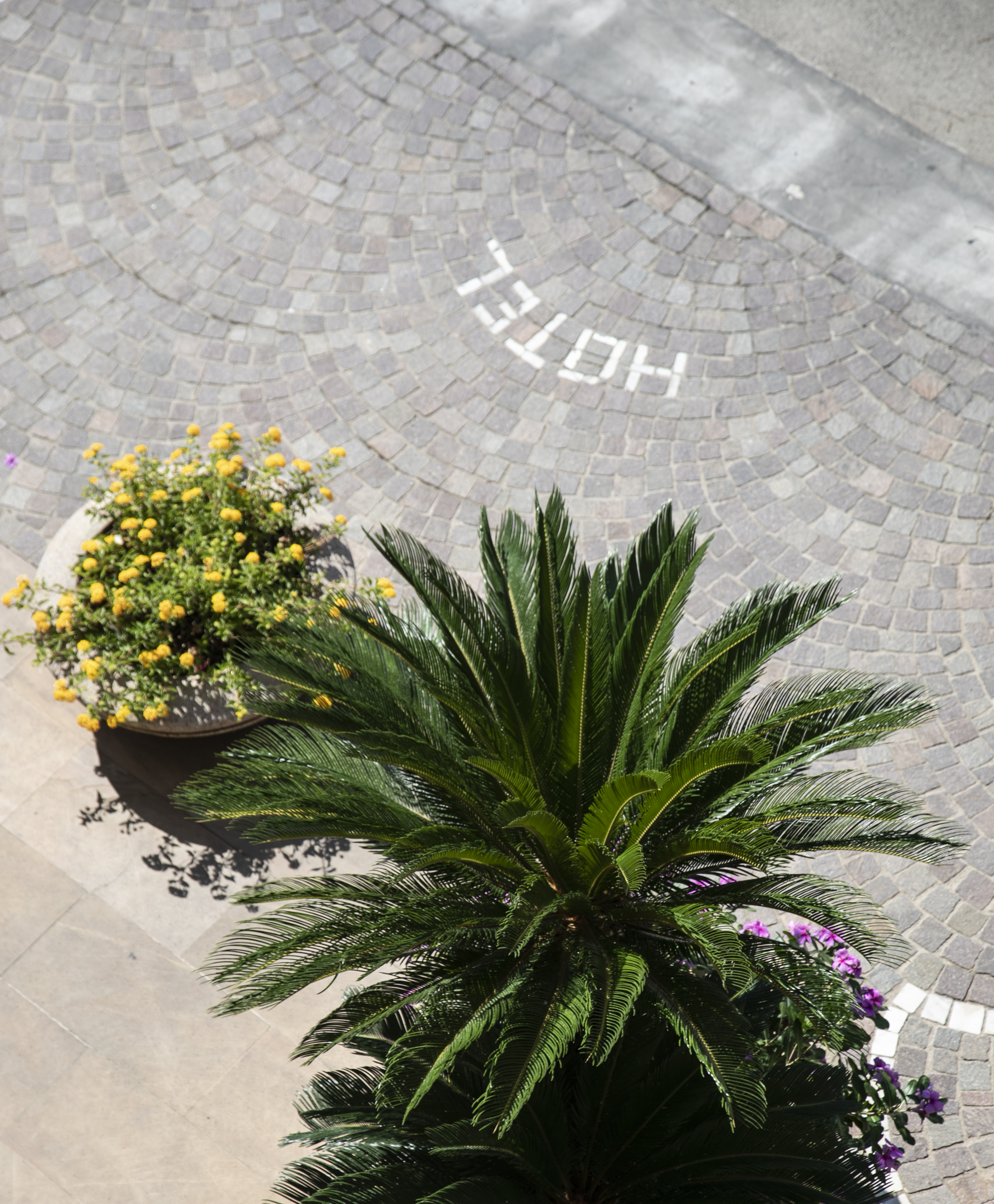 Double Premium Queen Bed