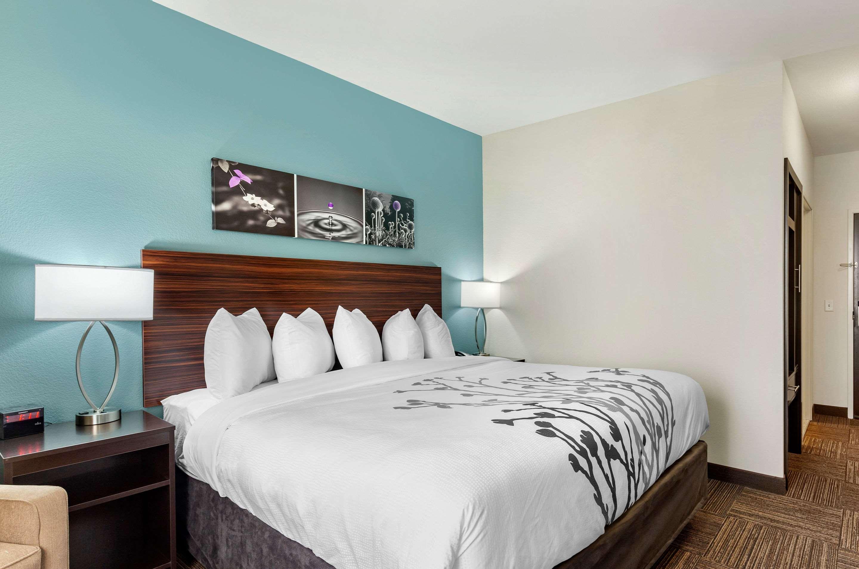 Double King Bed Non Smoking