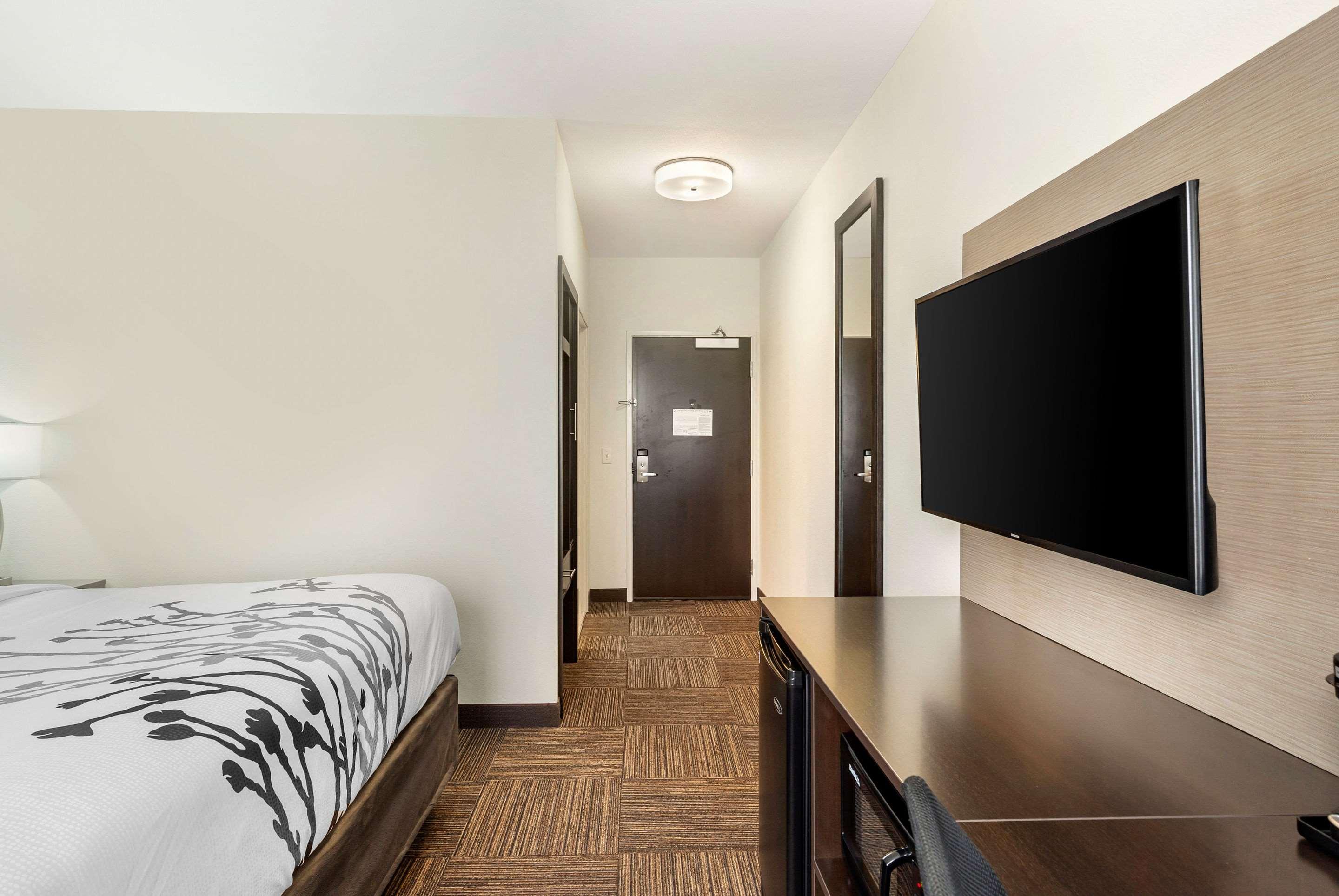 Double King Bed Non Smoking