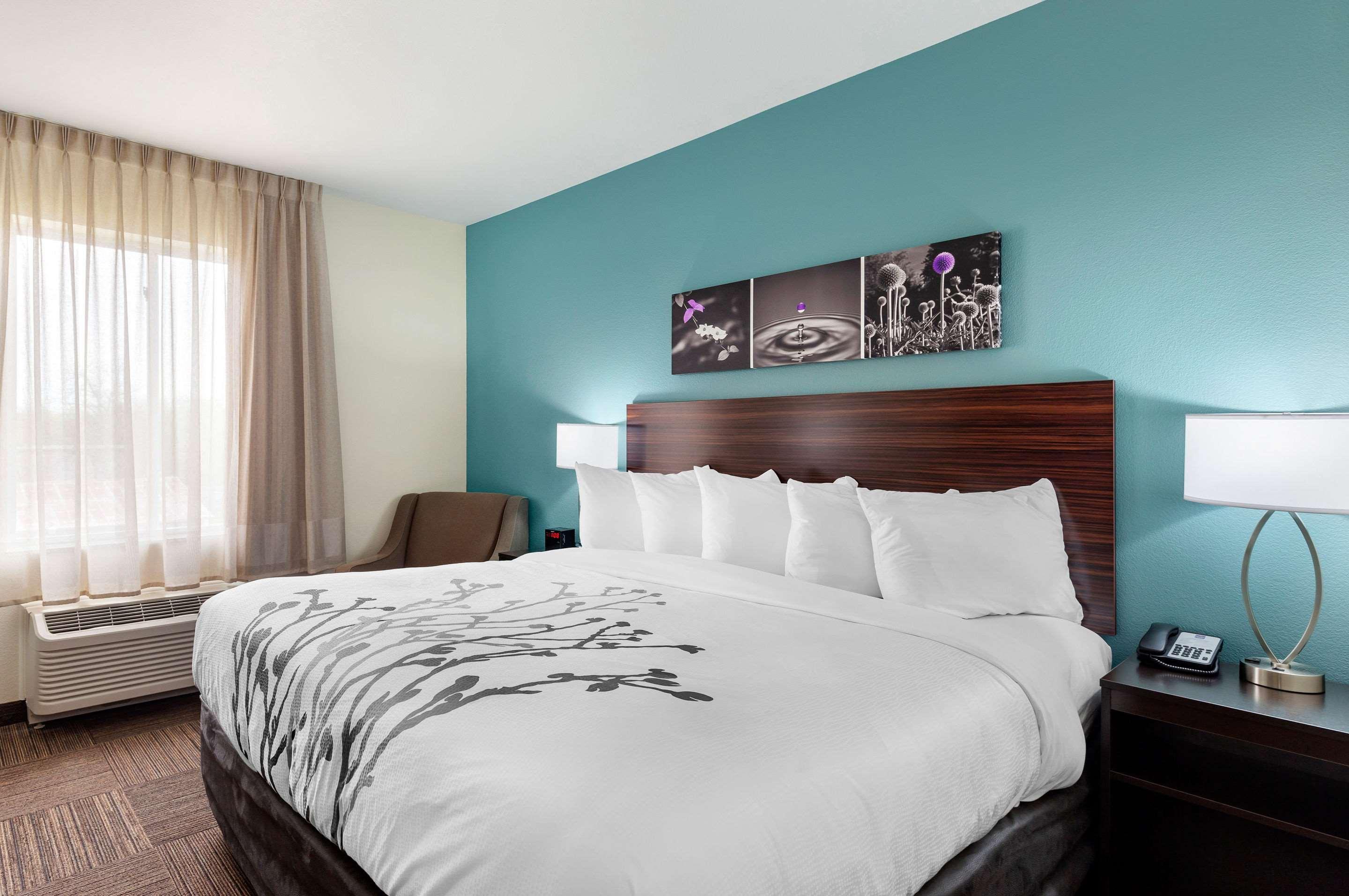 Double King Bed Non Smoking