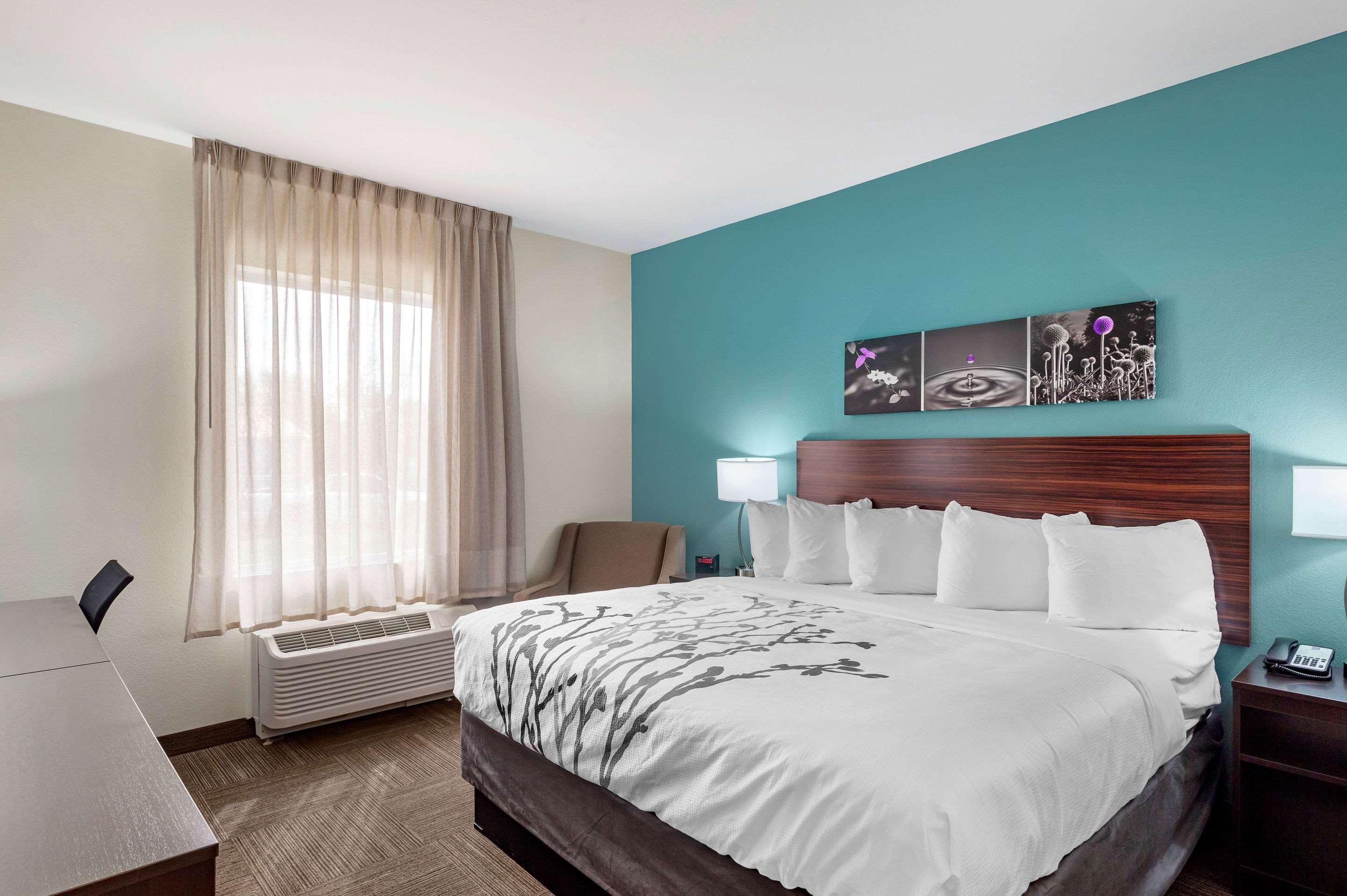 Double King Bed Non Smoking