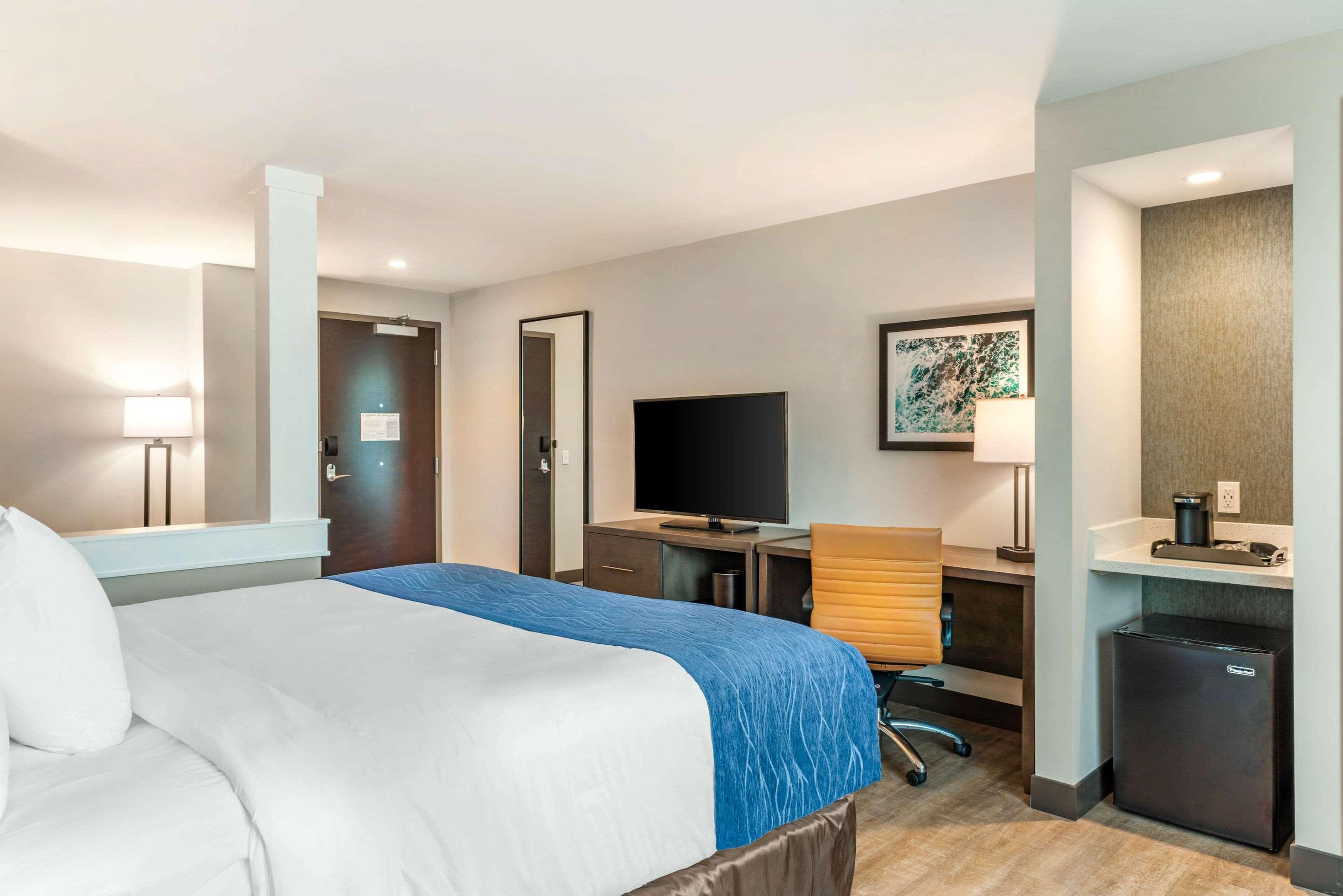 Suite King Bed Non Smoking