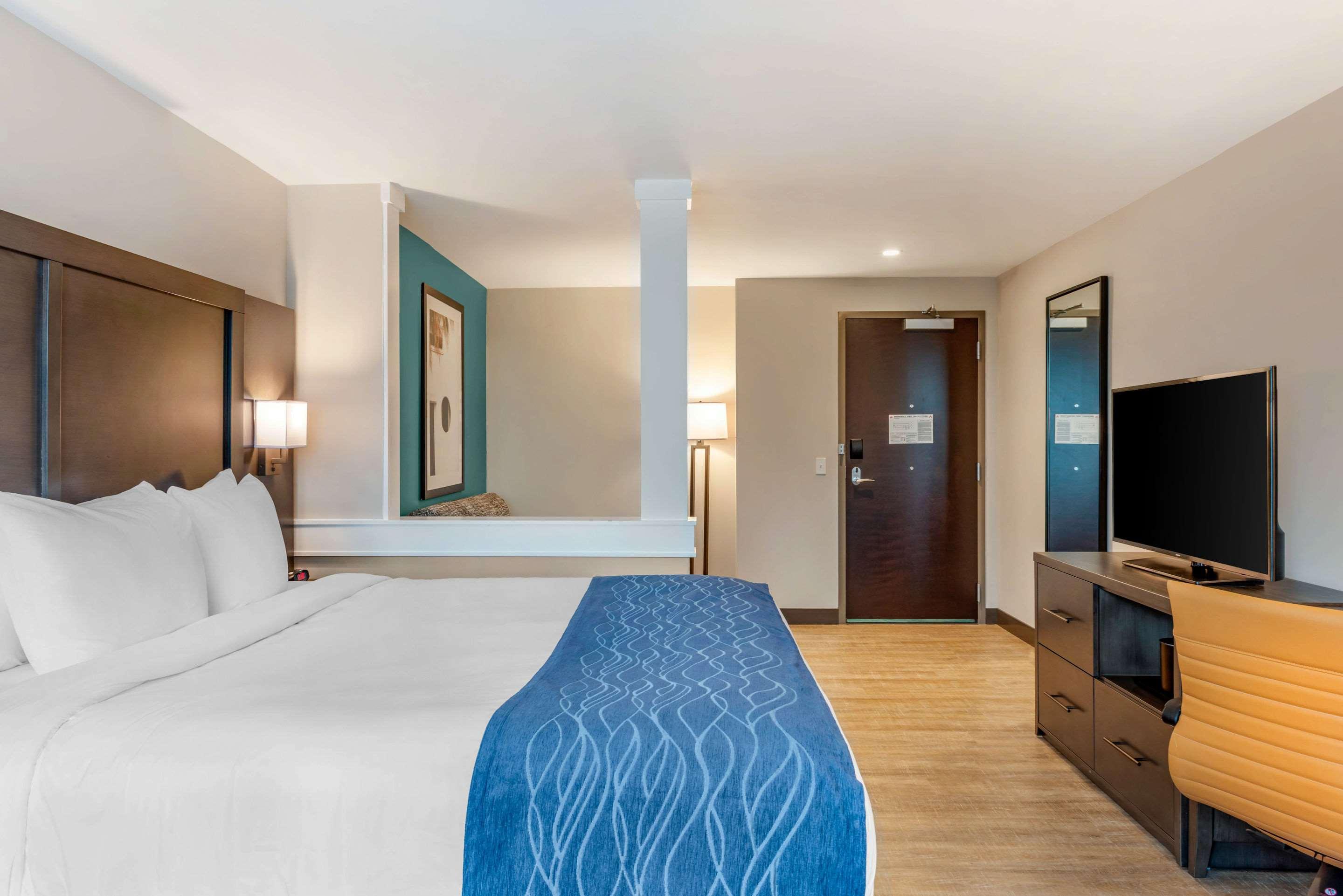 Suite King Bed Non Smoking