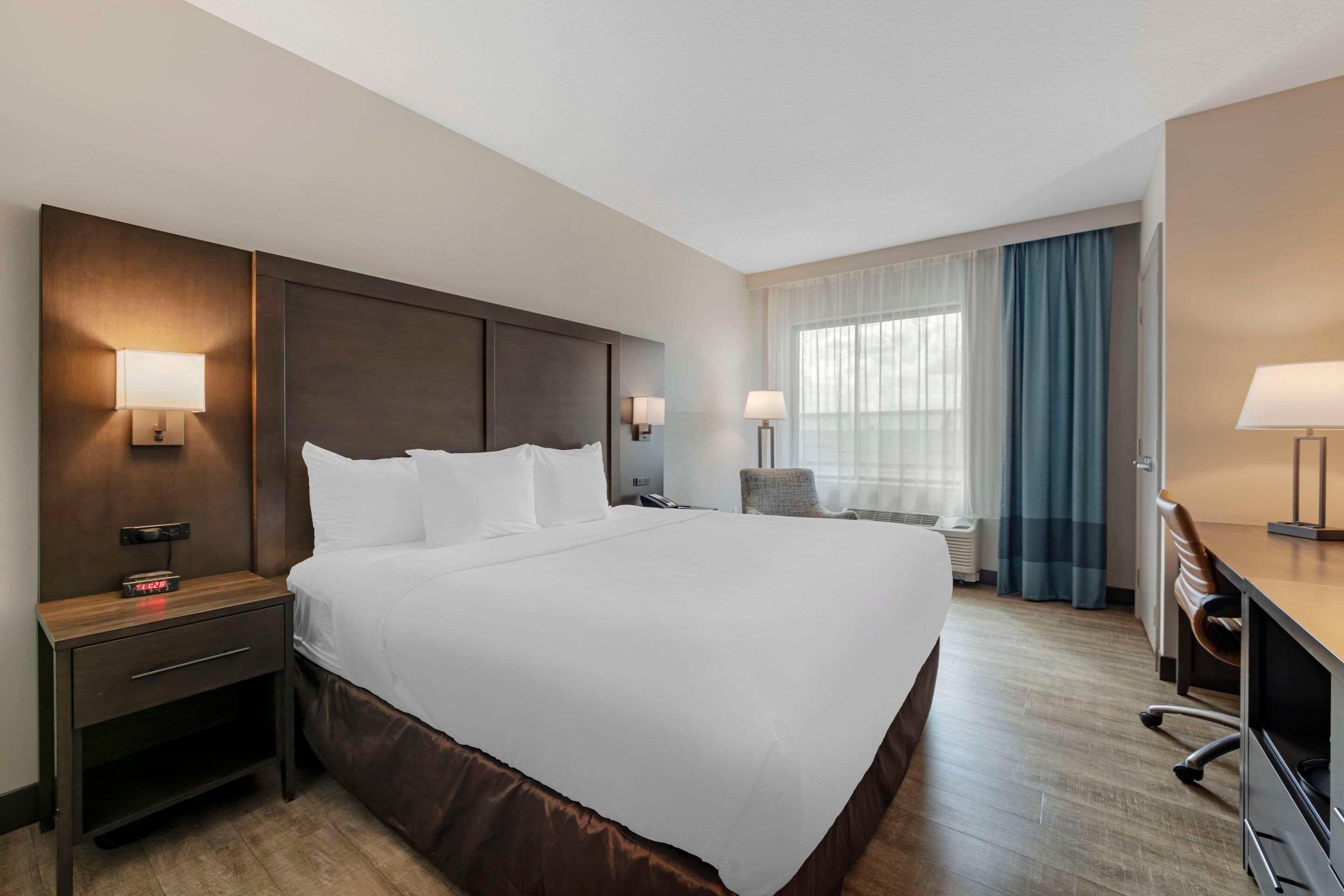 Double King Bed Non Smoking