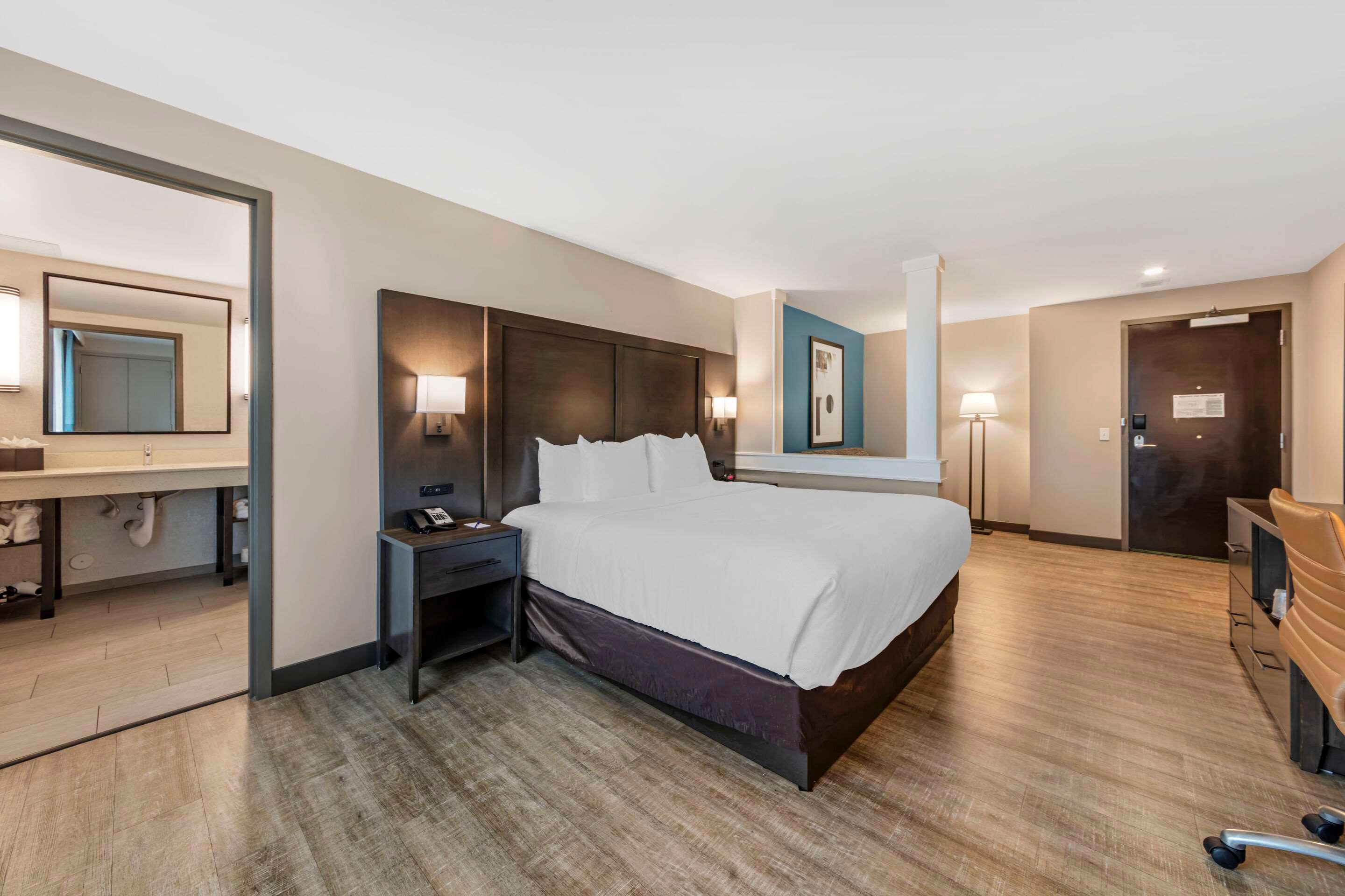 Suite King Bed Non Smoking