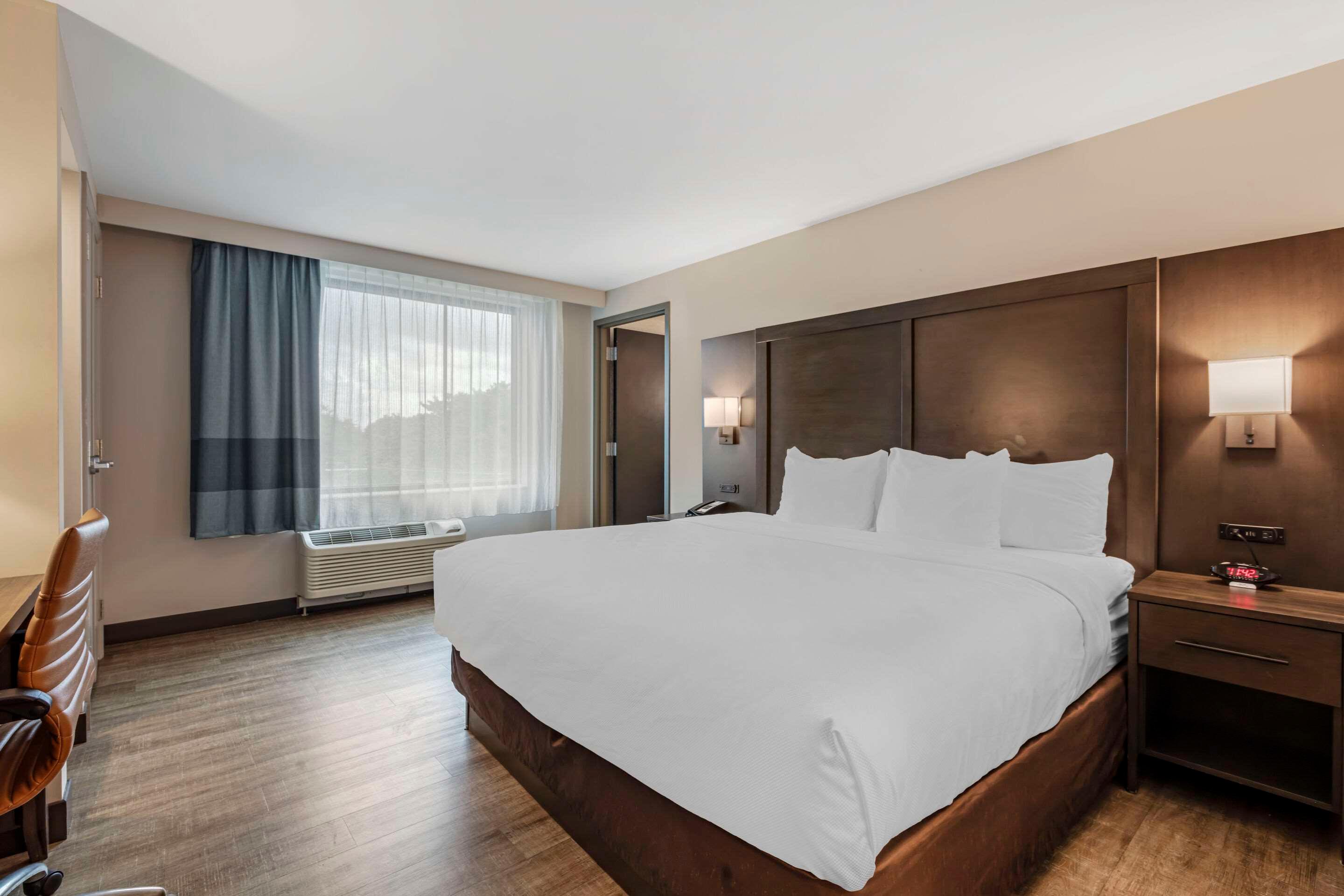 Suite King Bed Non Smoking