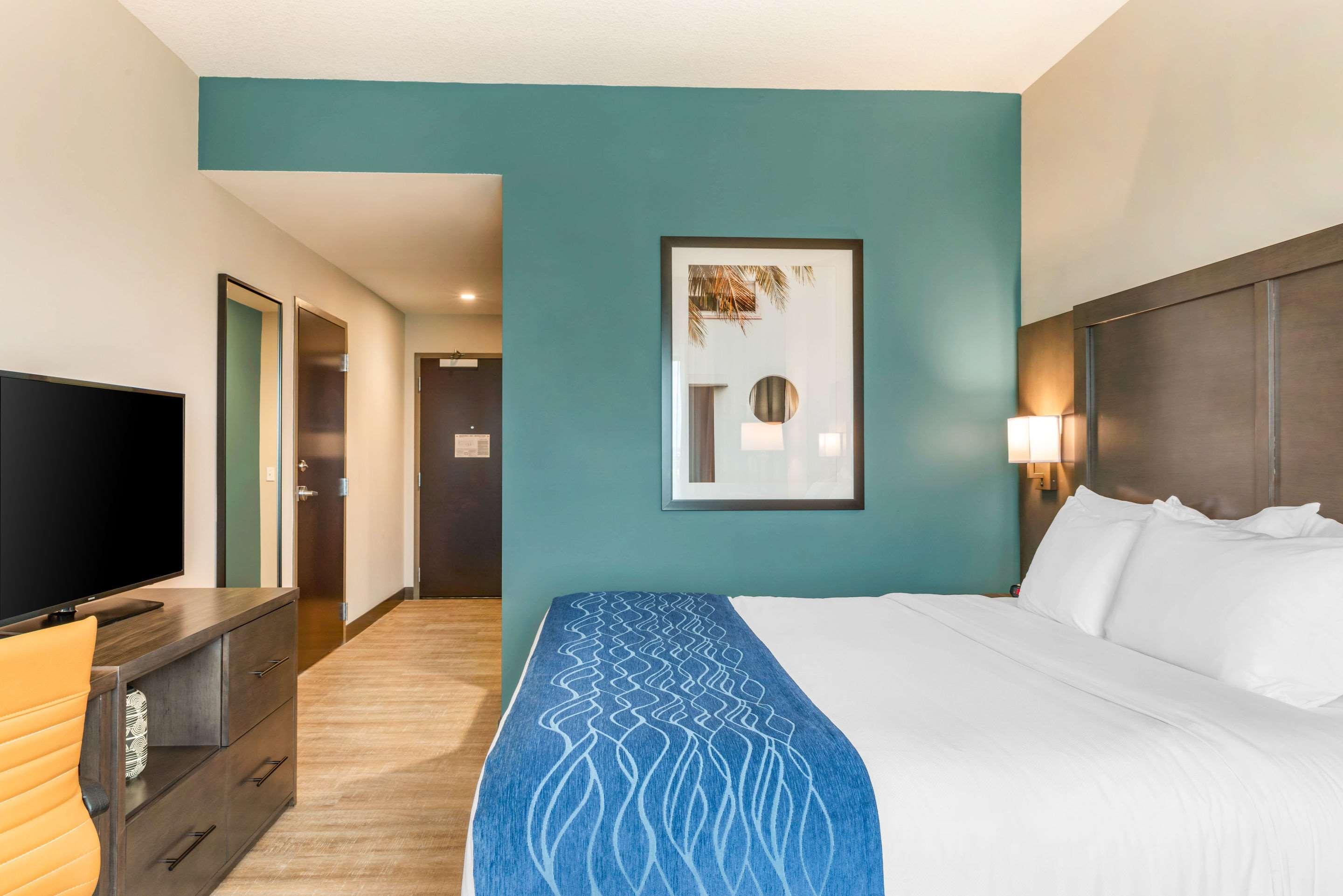 Double King Bed Non Smoking